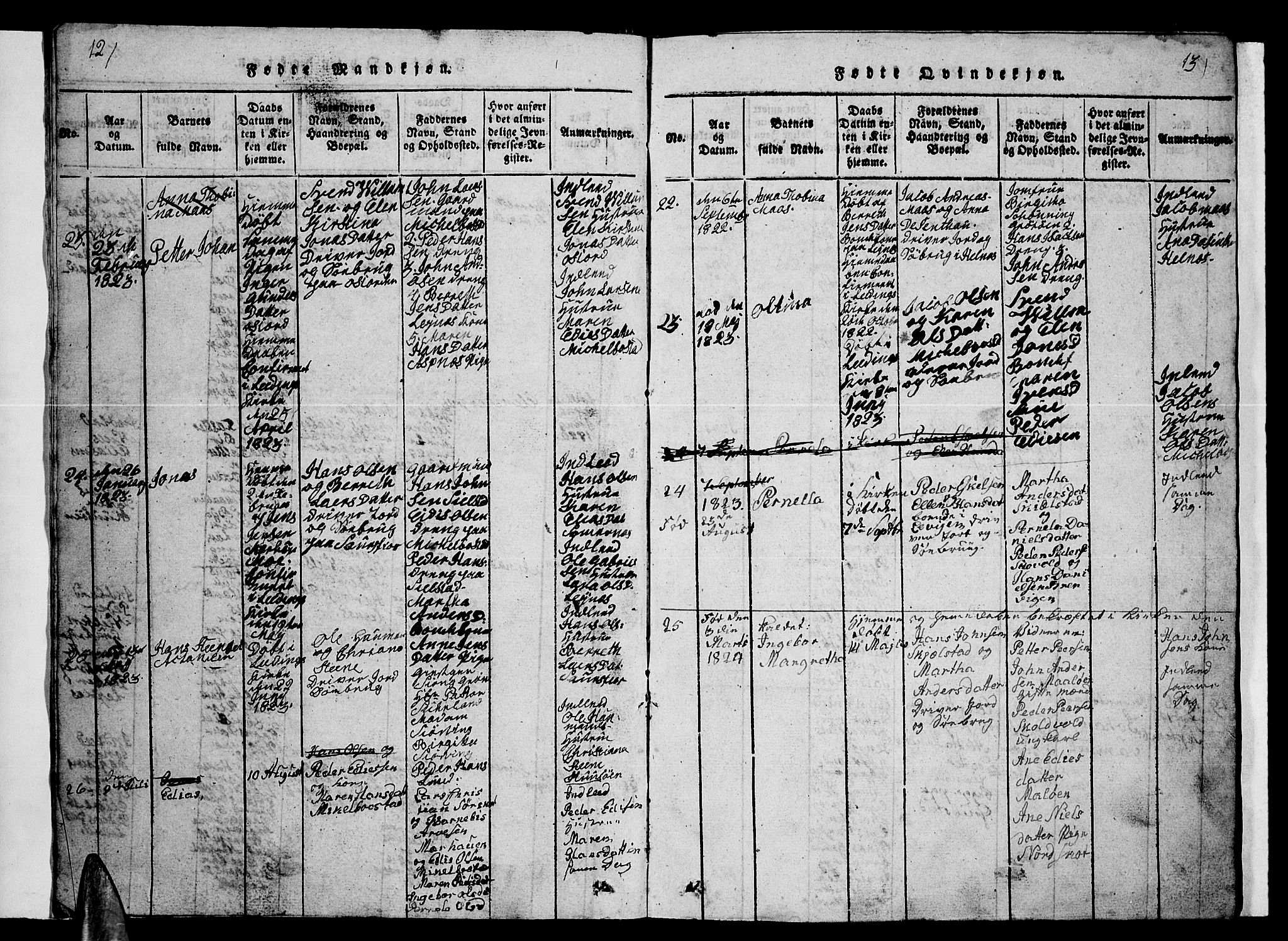 Ministerialprotokoller, klokkerbøker og fødselsregistre - Nordland, AV/SAT-A-1459/857/L0826: Parish register (copy) no. 857C01, 1821-1852, p. 12-13