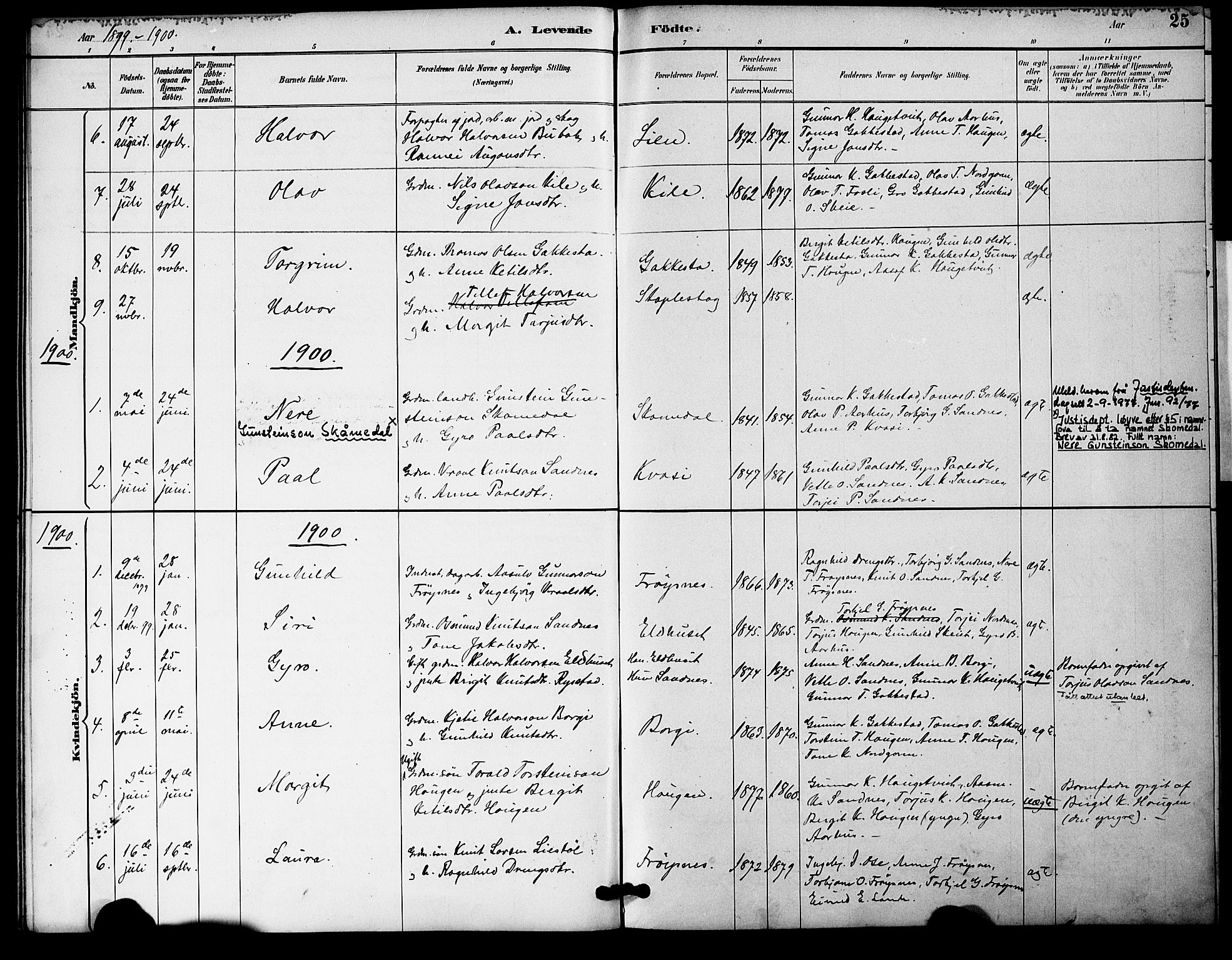 Bygland sokneprestkontor, AV/SAK-1111-0006/F/Fa/Fac/L0001: Parish register (official) no. A 1, 1885-1909, p. 25