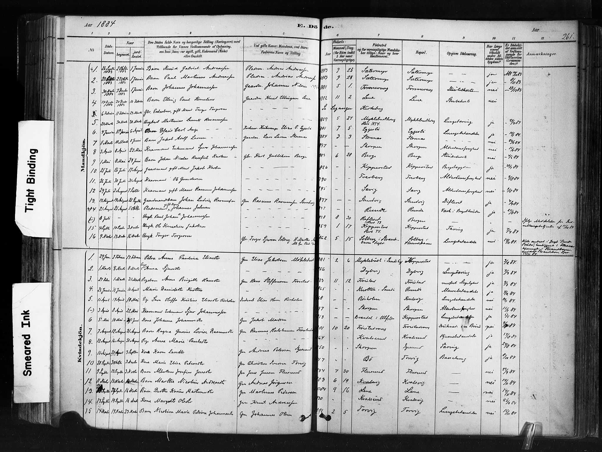 Ministerialprotokoller, klokkerbøker og fødselsregistre - Møre og Romsdal, AV/SAT-A-1454/507/L0073: Parish register (official) no. 507A08, 1878-1904, p. 261