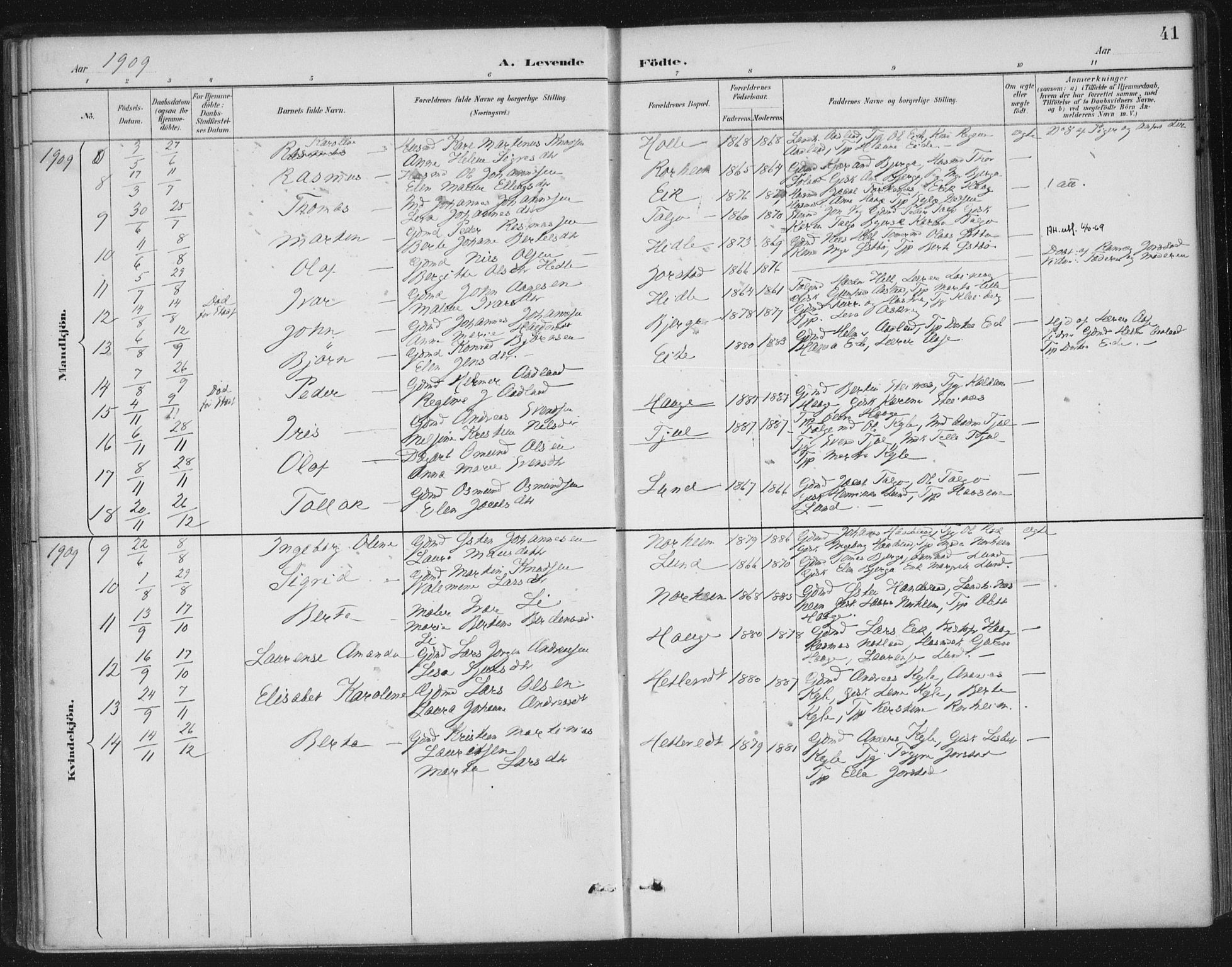 Nedstrand sokneprestkontor, AV/SAST-A-101841/01/IV: Parish register (official) no. A 13, 1887-1915, p. 41