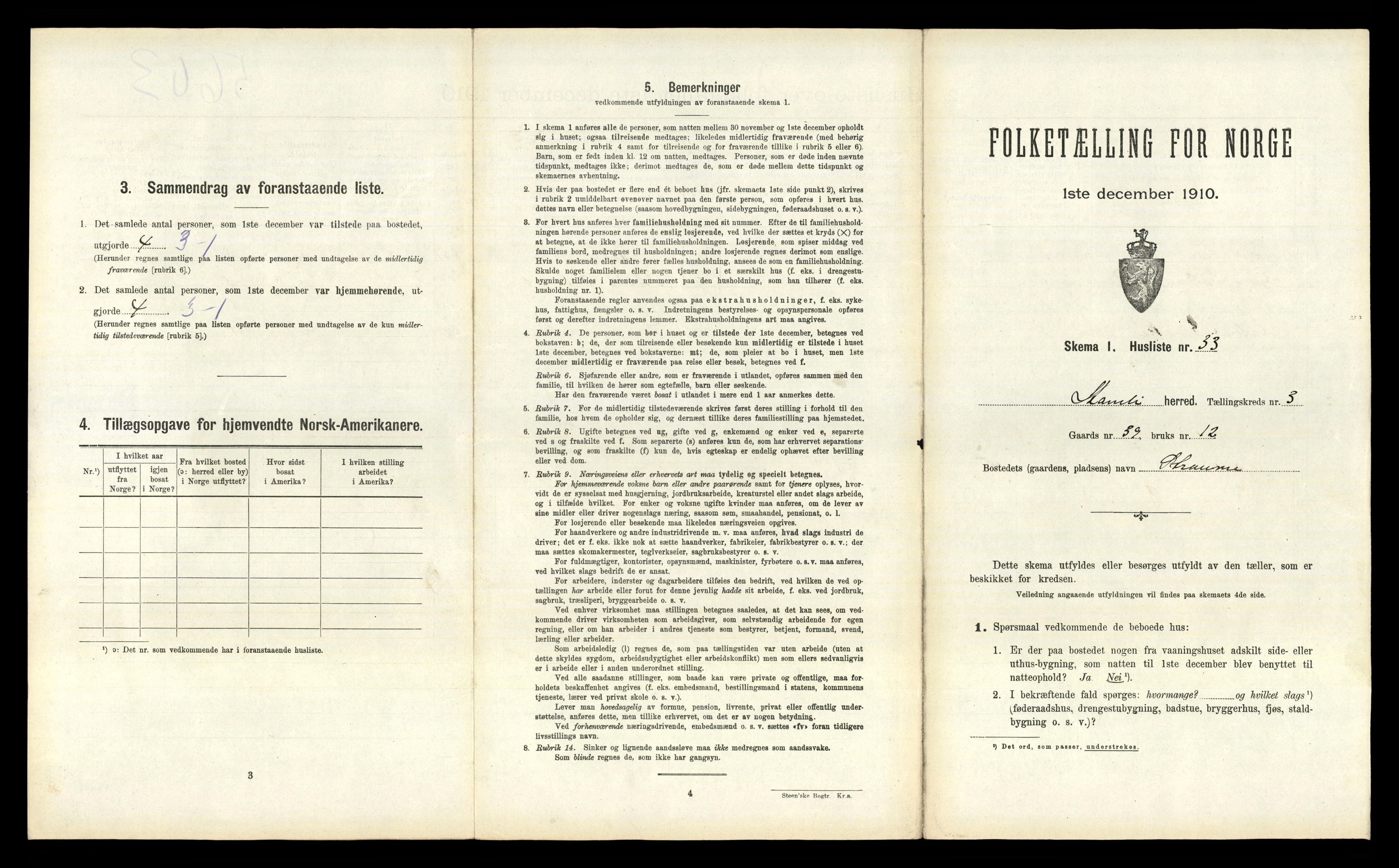 RA, 1910 census for Åmli, 1910, p. 219