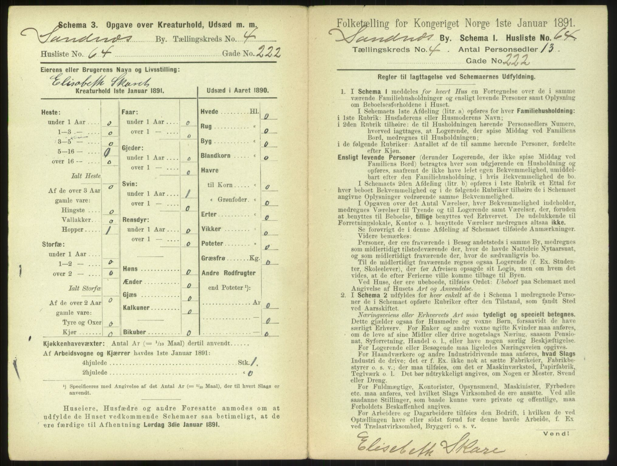 RA, 1891 census for 1102 Sandnes, 1891, p. 477