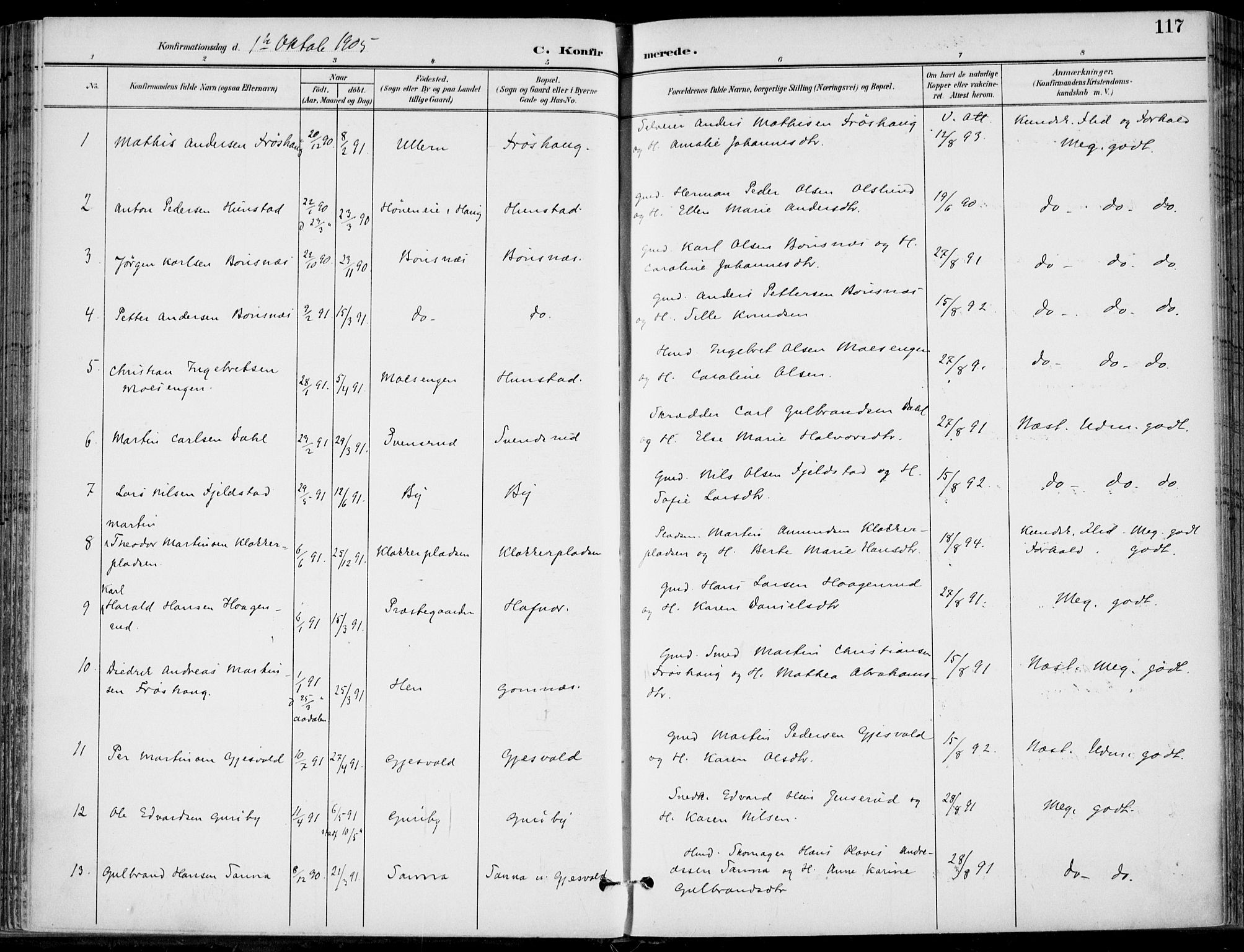 Hole kirkebøker, AV/SAKO-A-228/F/Fa/L0009: Parish register (official) no. I 9, 1892-1907, p. 117