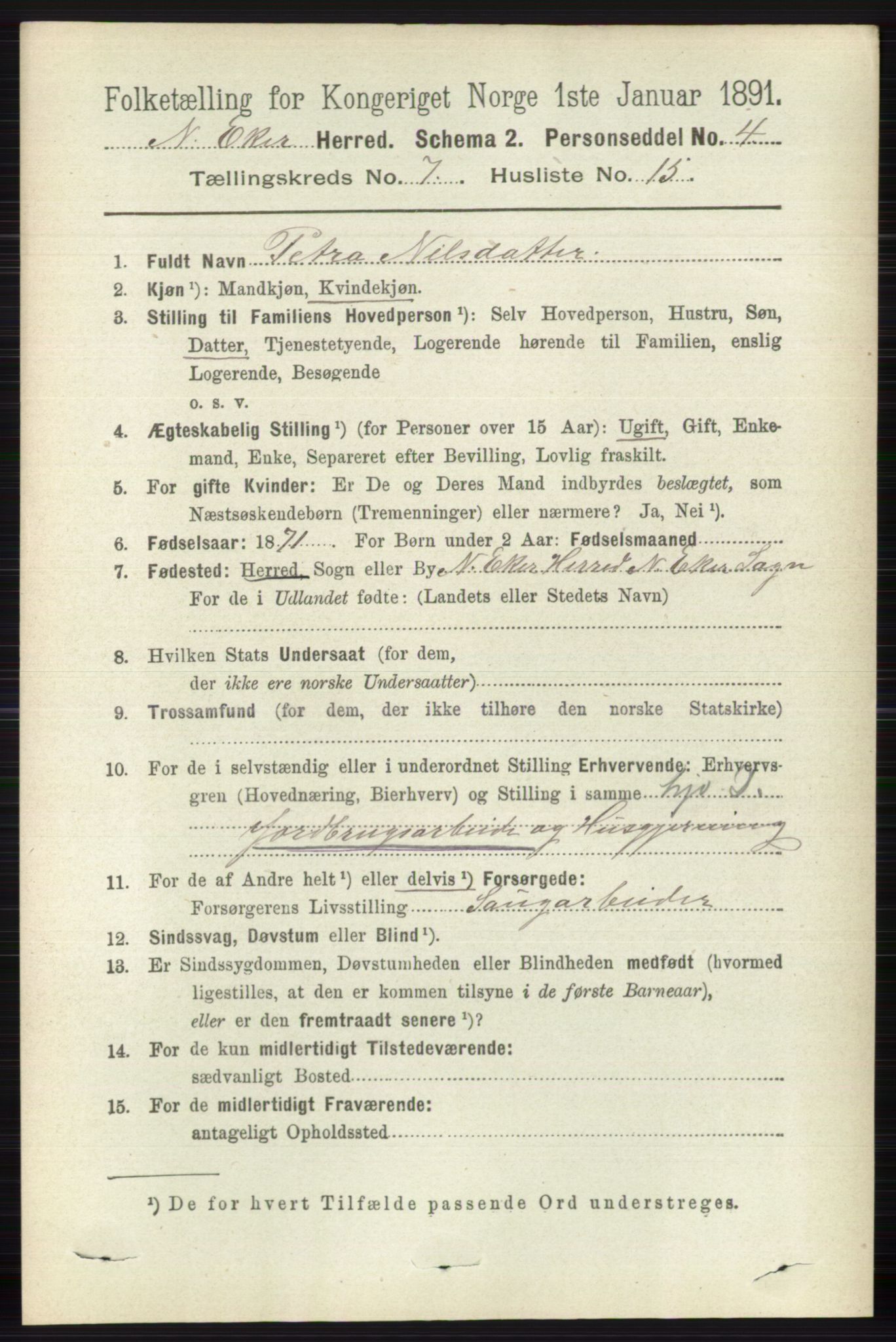RA, 1891 census for 0625 Nedre Eiker, 1891, p. 3490