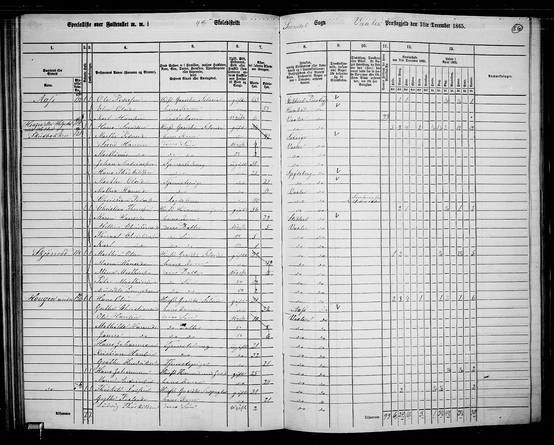 RA, 1865 census for Våler, 1865, p. 76