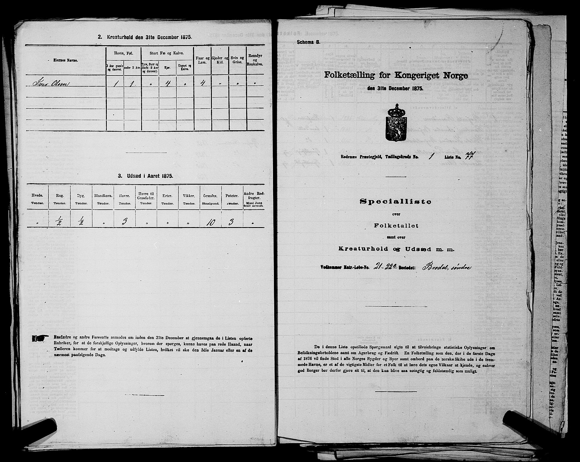 RA, 1875 census for 0120P Rødenes, 1875, p. 177