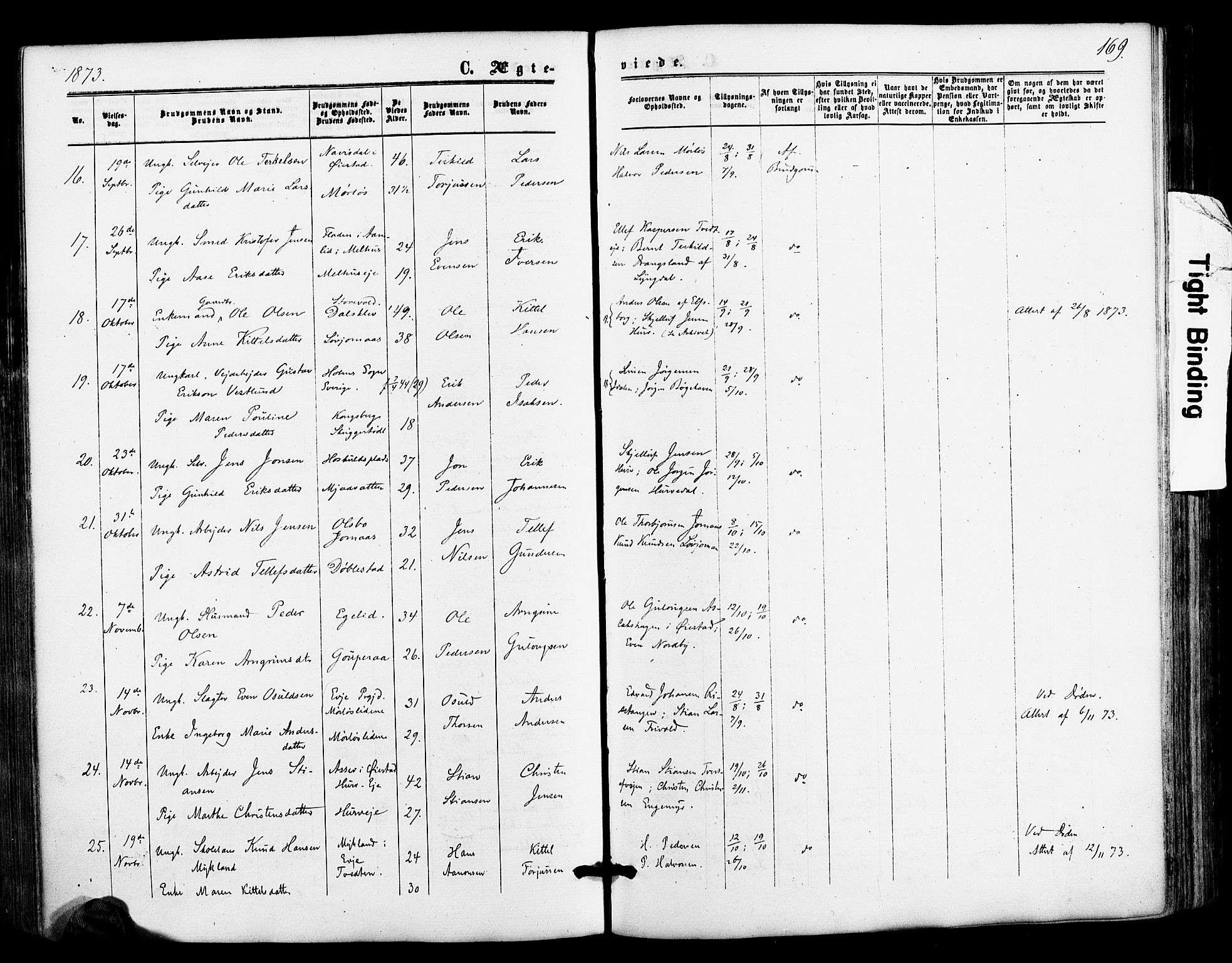 Froland sokneprestkontor, AV/SAK-1111-0013/F/Fa/L0003: Parish register (official) no. A 3, 1864-1881, p. 169