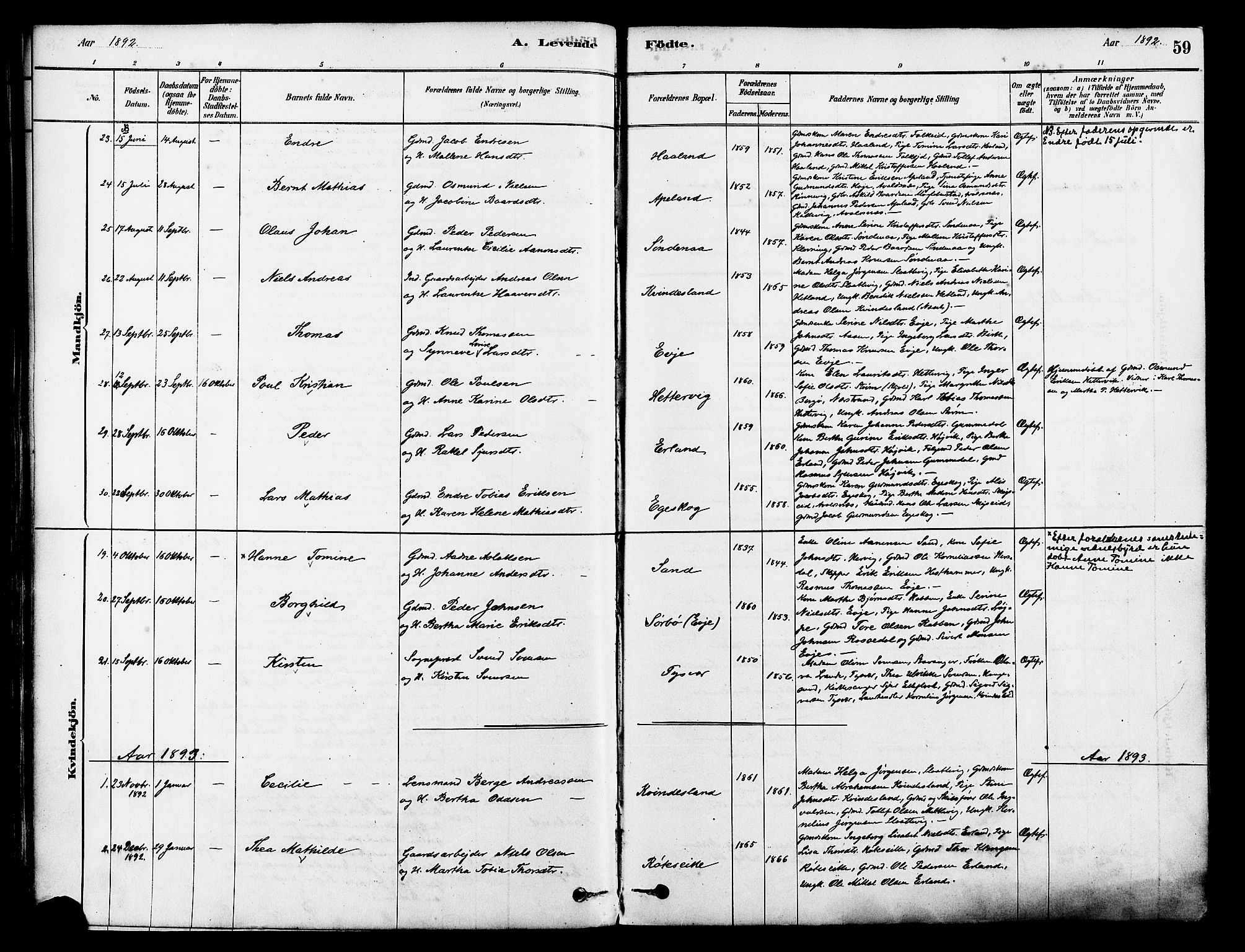 Tysvær sokneprestkontor, AV/SAST-A -101864/H/Ha/Haa/L0006: Parish register (official) no. A 6, 1878-1896, p. 59