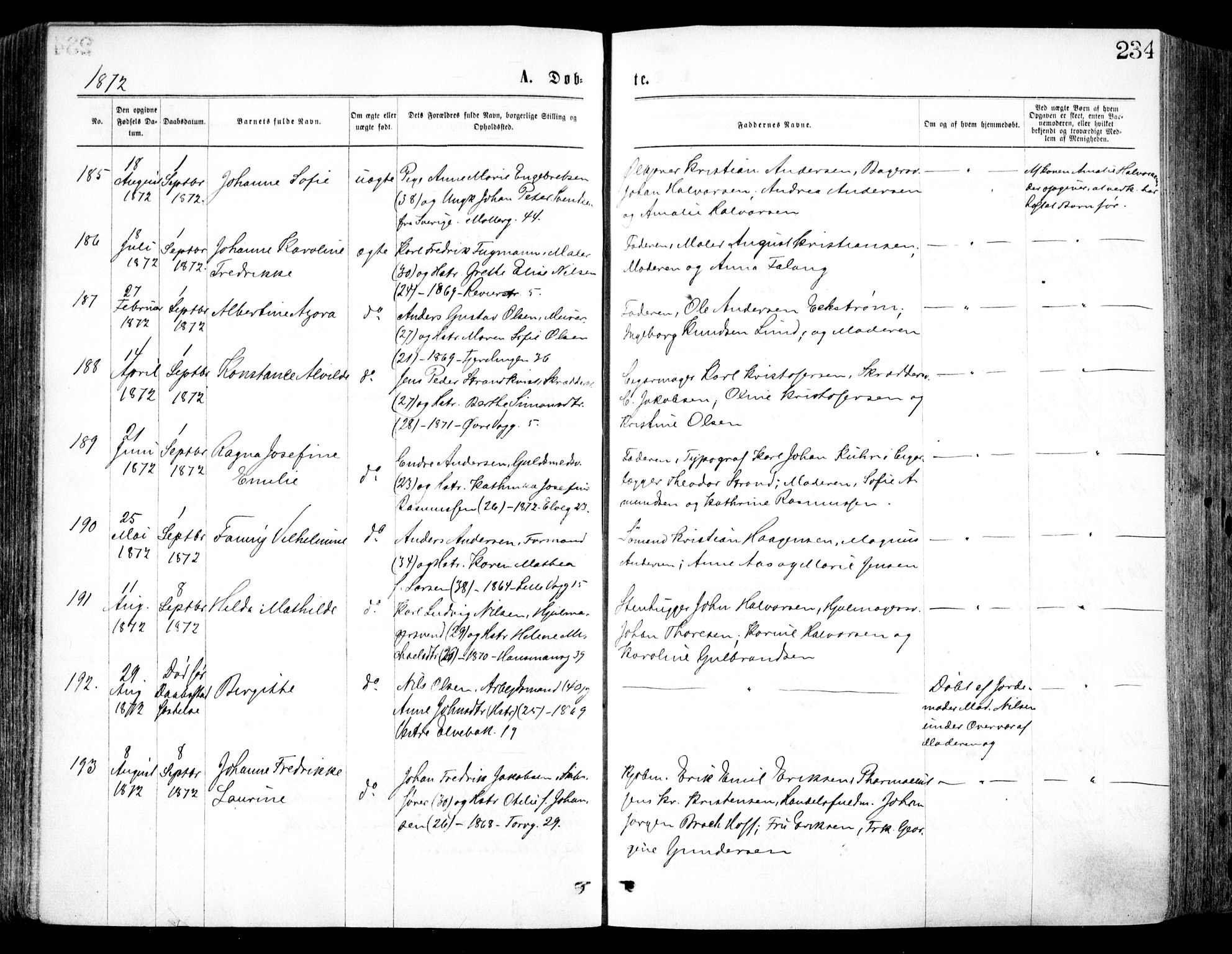 Oslo domkirke Kirkebøker, SAO/A-10752/F/Fa/L0017: Parish register (official) no. 17, 1869-1878, p. 234