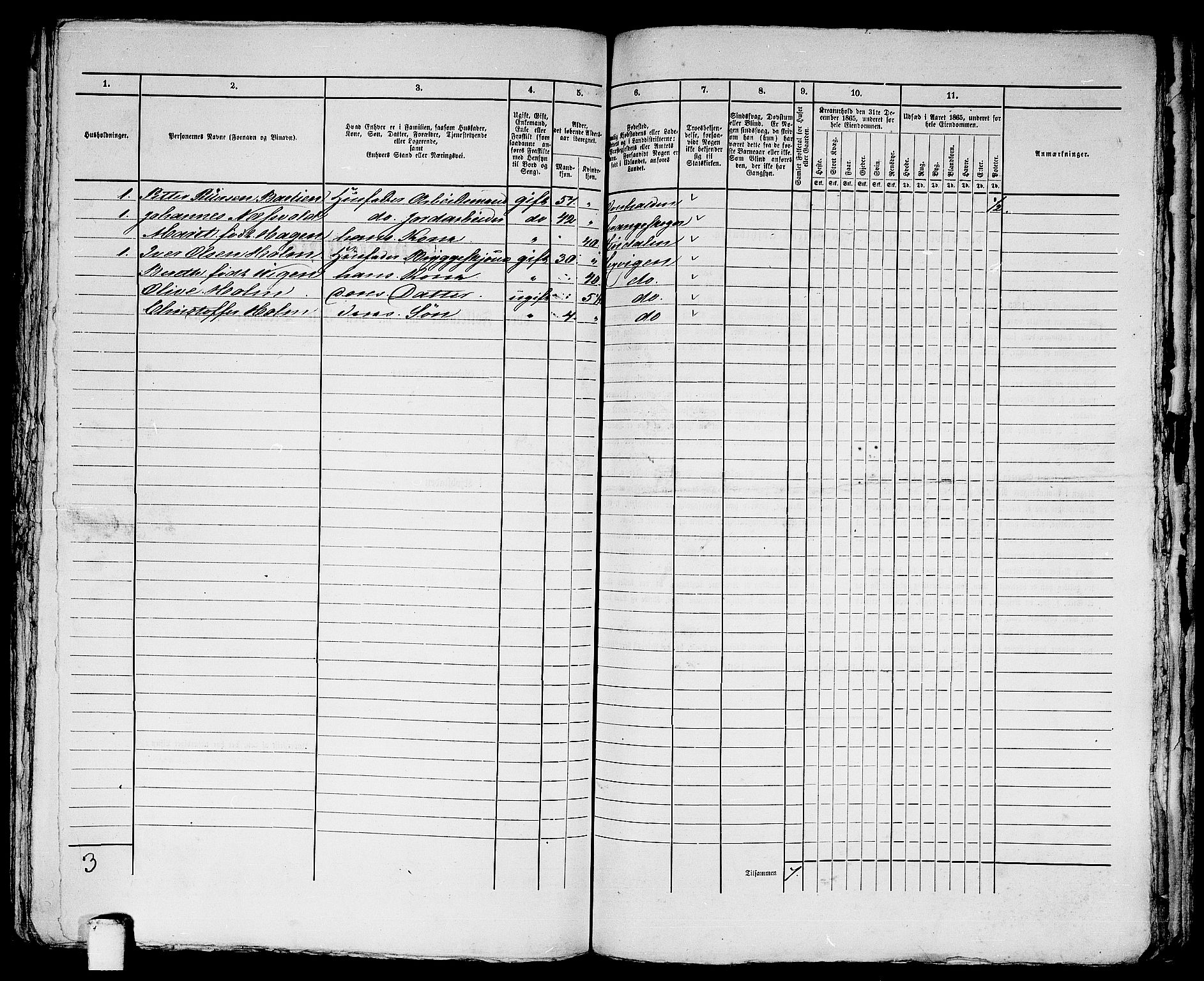 RA, 1865 census for Trondheim, 1865, p. 2962