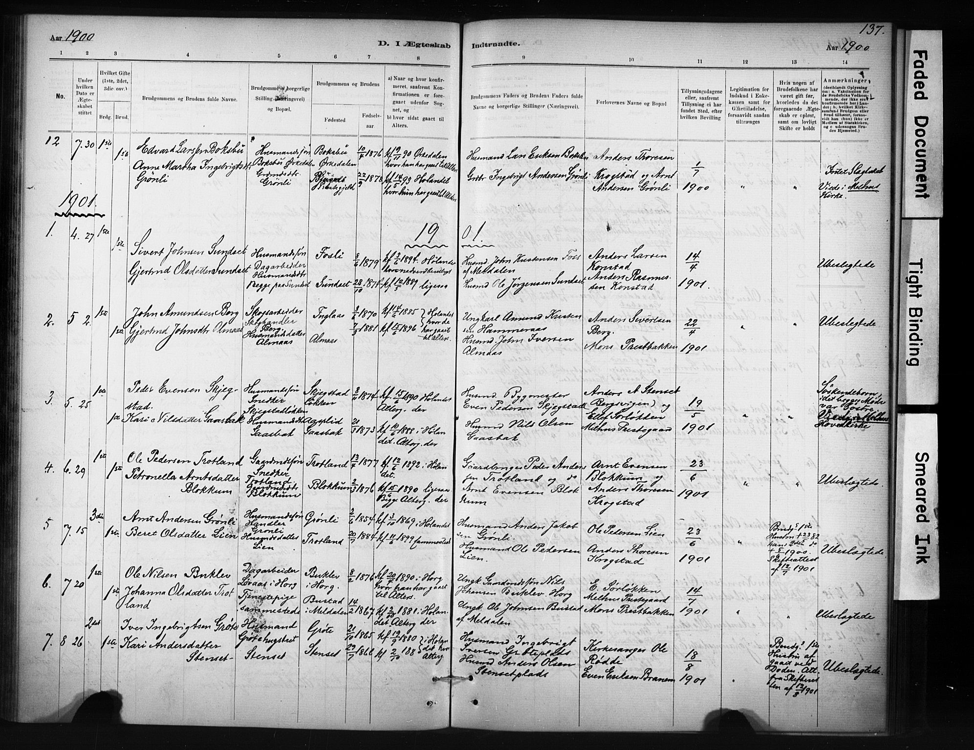 Ministerialprotokoller, klokkerbøker og fødselsregistre - Sør-Trøndelag, SAT/A-1456/694/L1127: Parish register (official) no. 694A01, 1887-1905, p. 137