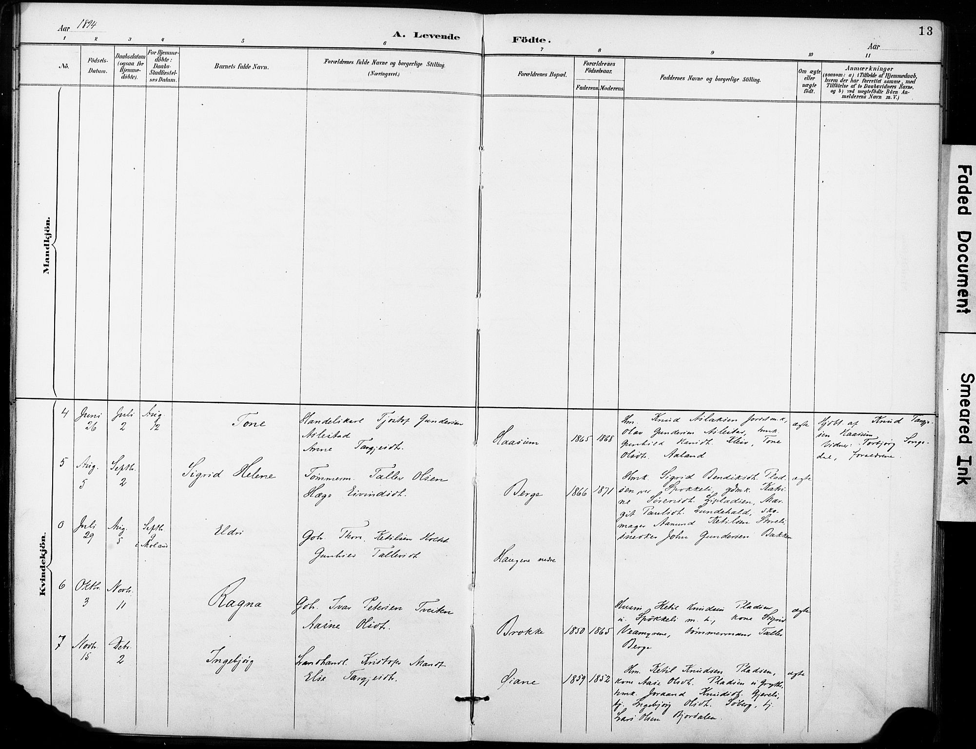 Fyresdal kirkebøker, SAKO/A-263/F/Fb/L0003: Parish register (official) no. II 3, 1887-1903, p. 13