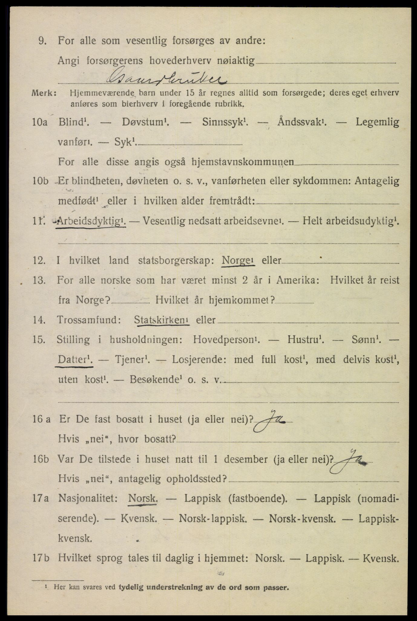 SAT, 1920 census for Ankenes, 1920, p. 3114