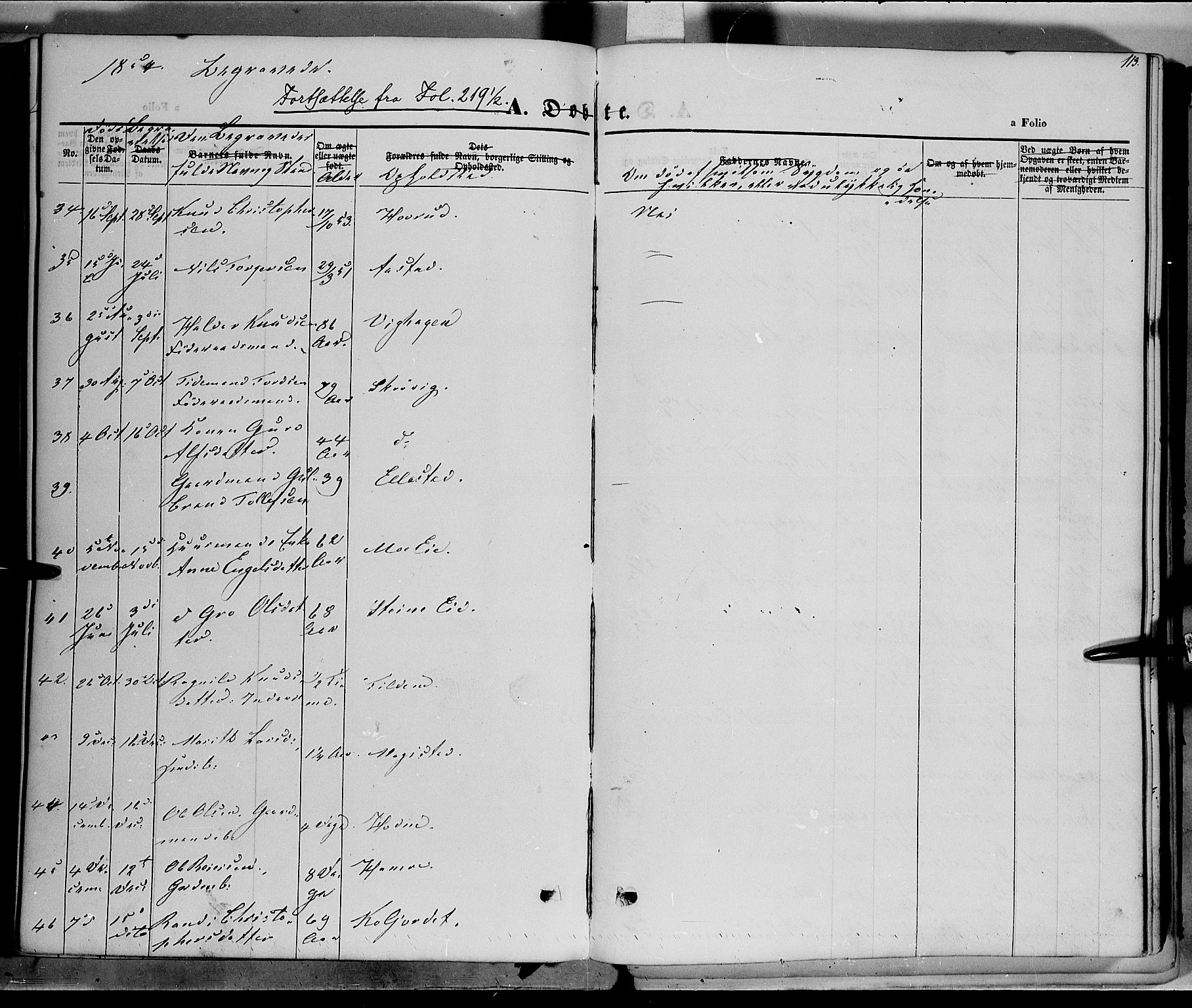 Vestre Slidre prestekontor, SAH/PREST-136/H/Ha/Haa/L0001: Parish register (official) no. 1, 1844-1855, p. 113