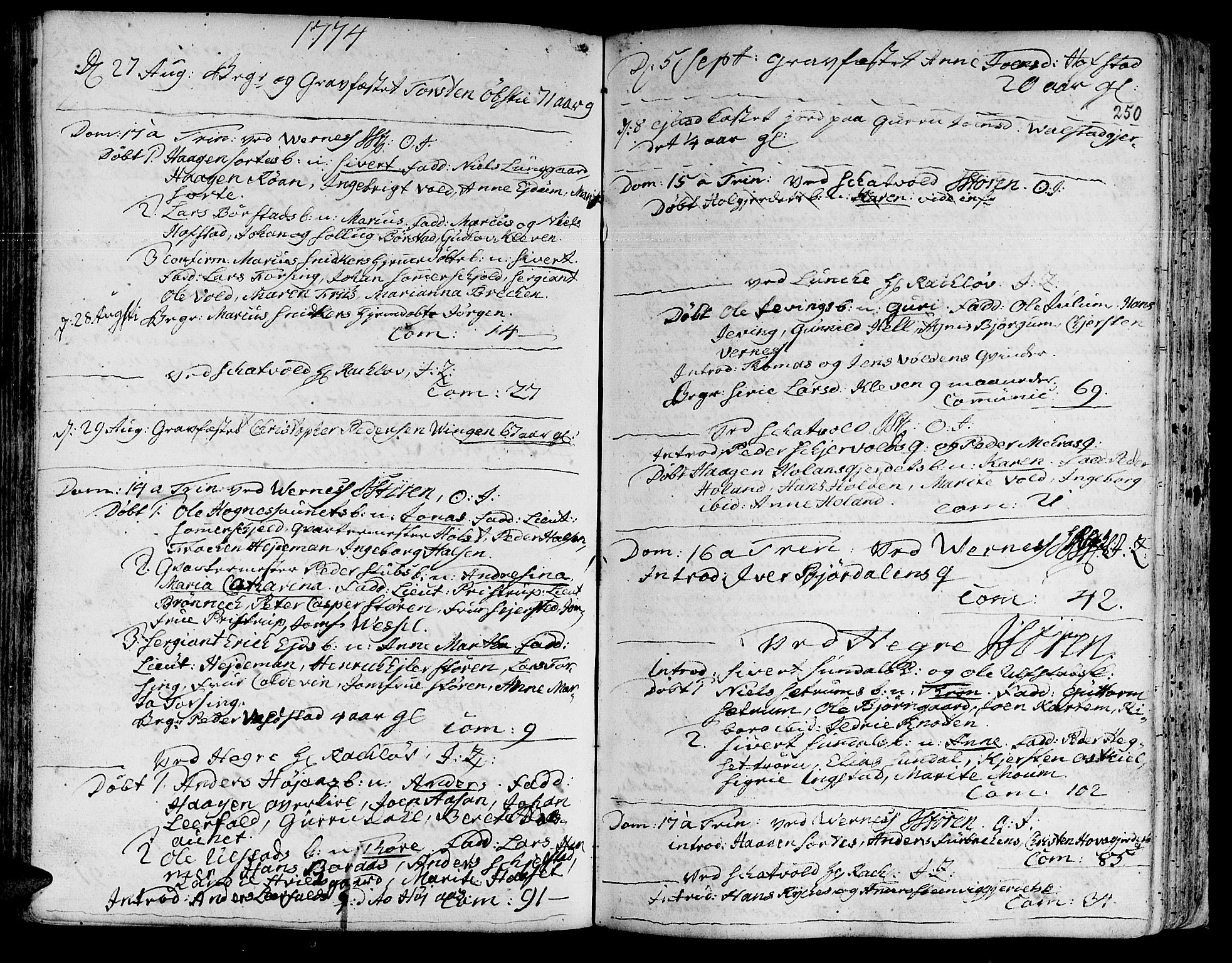 Ministerialprotokoller, klokkerbøker og fødselsregistre - Nord-Trøndelag, SAT/A-1458/709/L0057: Parish register (official) no. 709A05, 1755-1780, p. 250