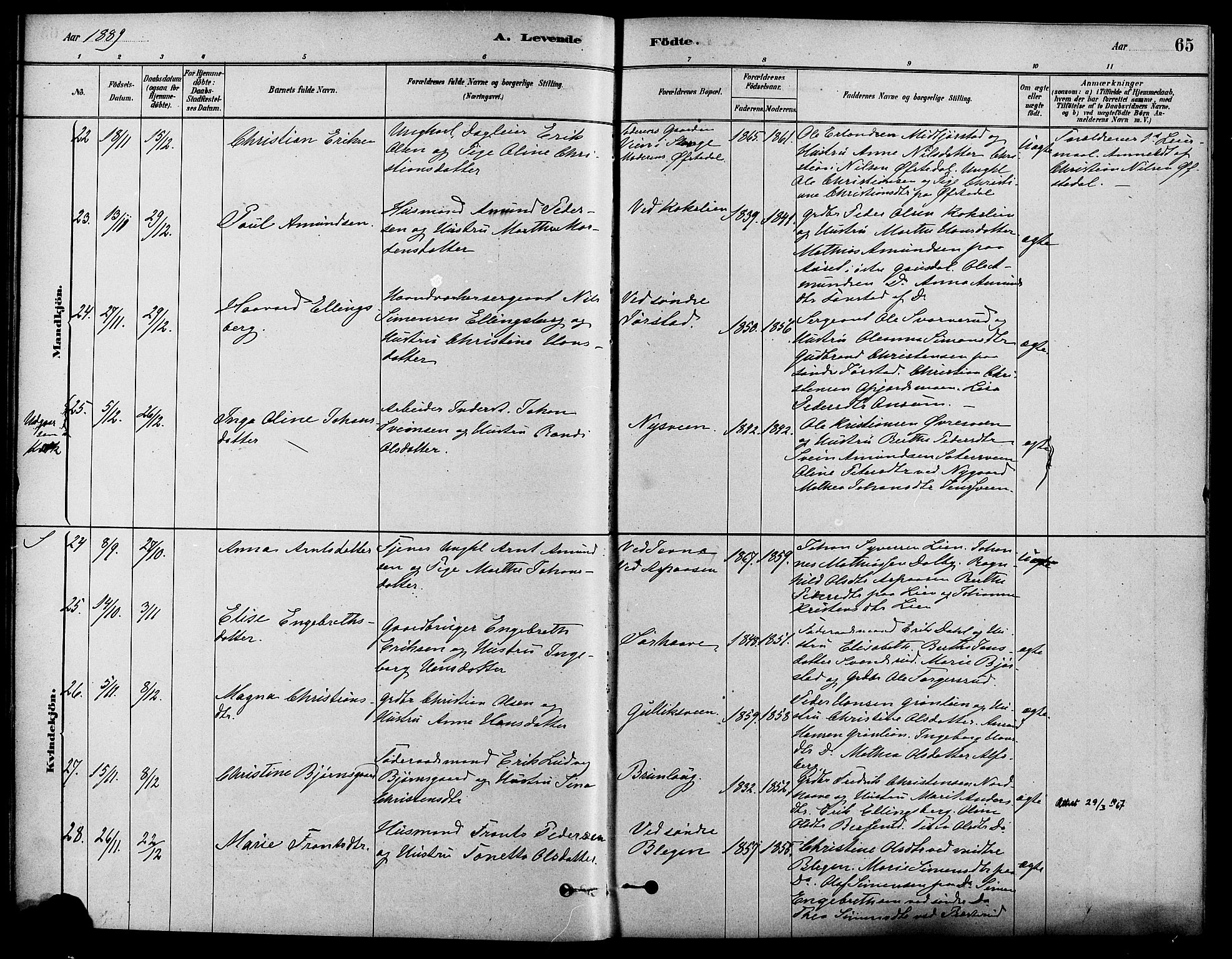 Fåberg prestekontor, AV/SAH-PREST-086/H/Ha/Haa/L0008: Parish register (official) no. 8, 1879-1898, p. 65