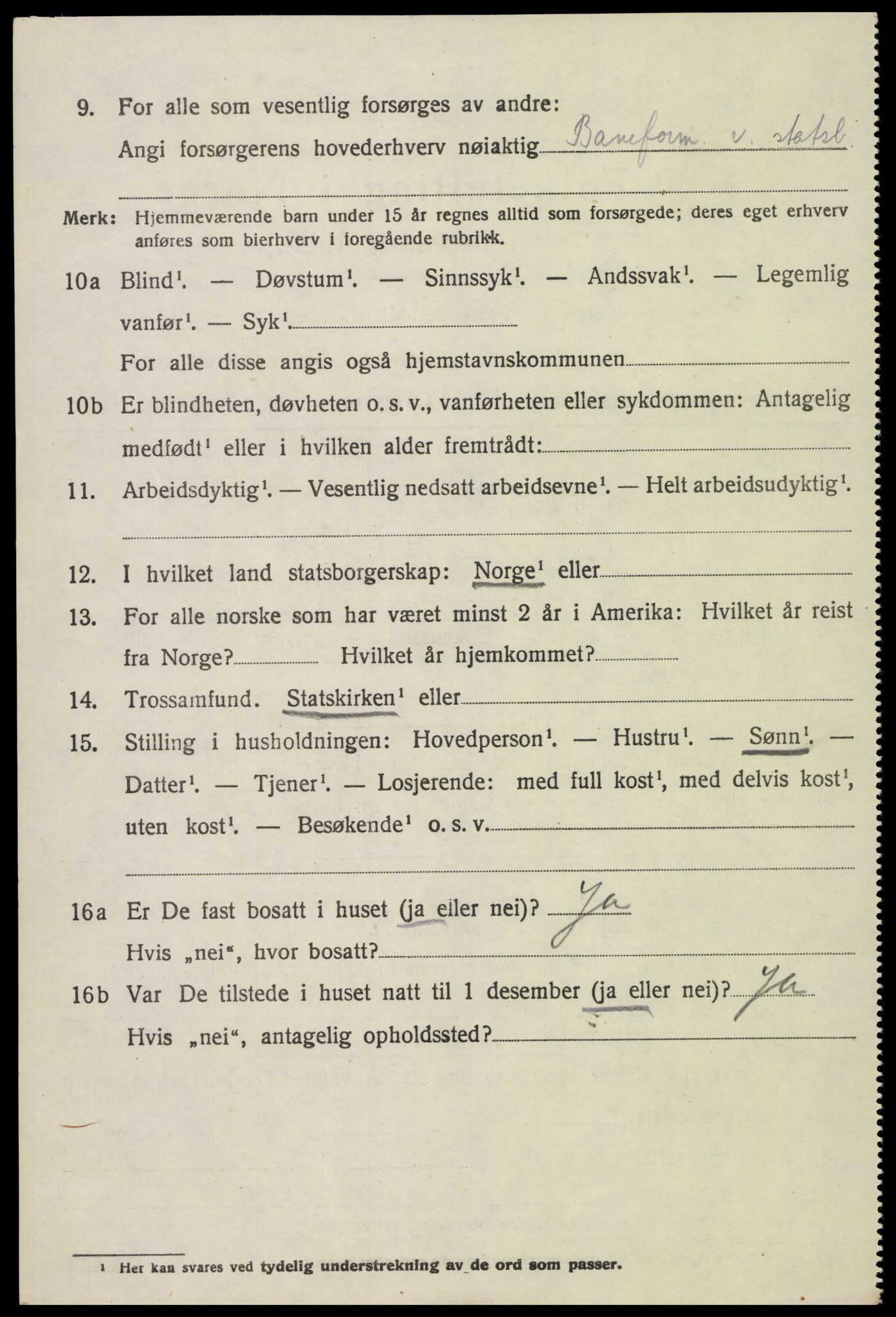 SAK, 1920 census for Hornnes, 1920, p. 2546