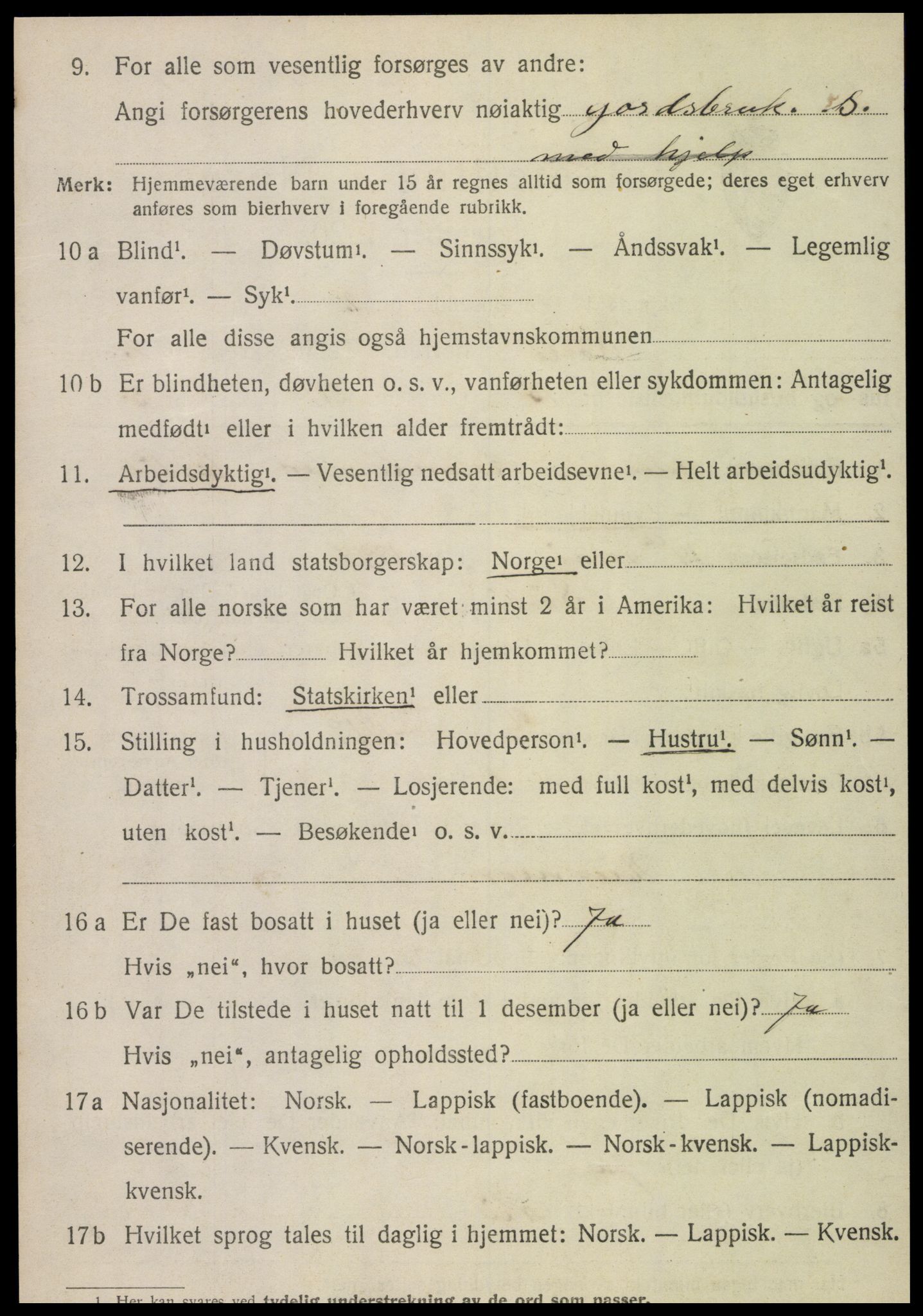 SAT, 1920 census for Sørli, 1920, p. 1028