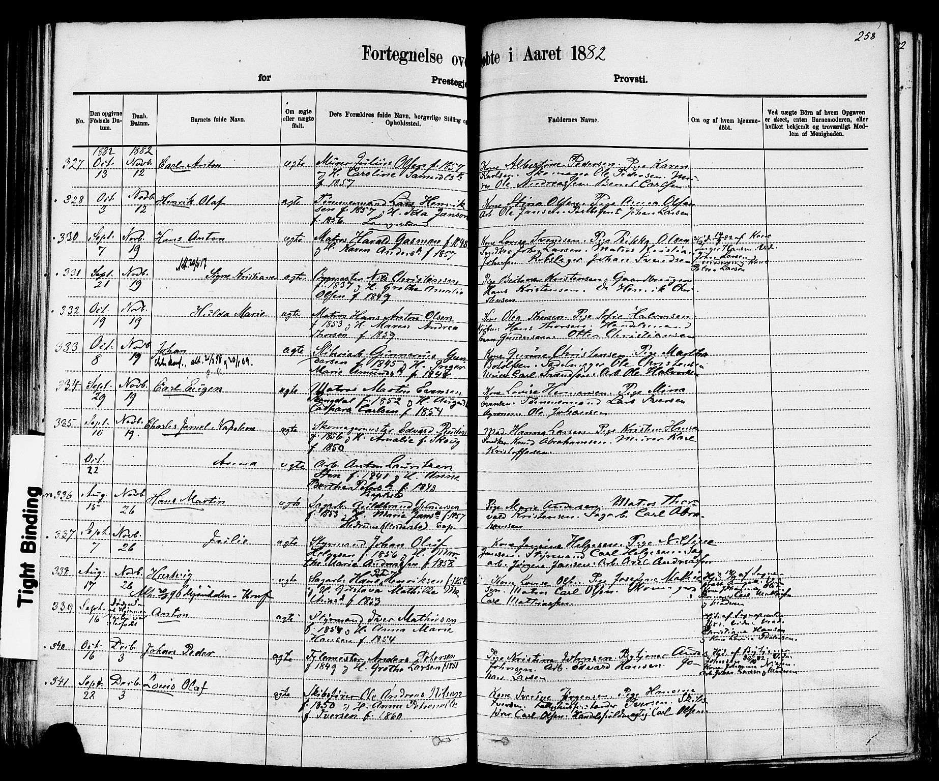 Larvik kirkebøker, AV/SAKO-A-352/F/Fa/L0006: Parish register (official) no. I 6, 1871-1883, p. 258