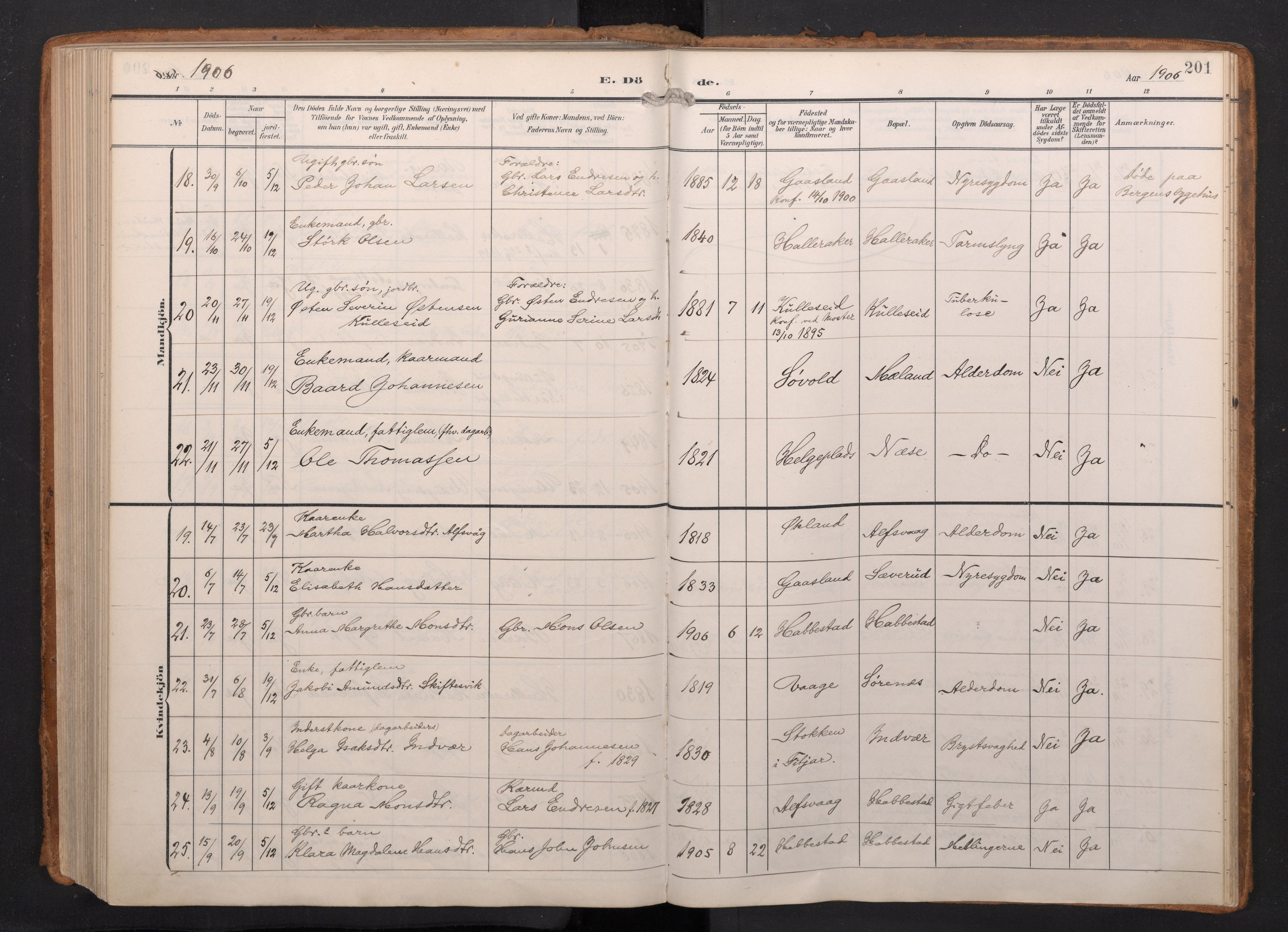 Finnås sokneprestembete, AV/SAB-A-99925/H/Ha/Haa/Haac/L0003: Parish register (official) no. C 3, 1905-1917, p. 201