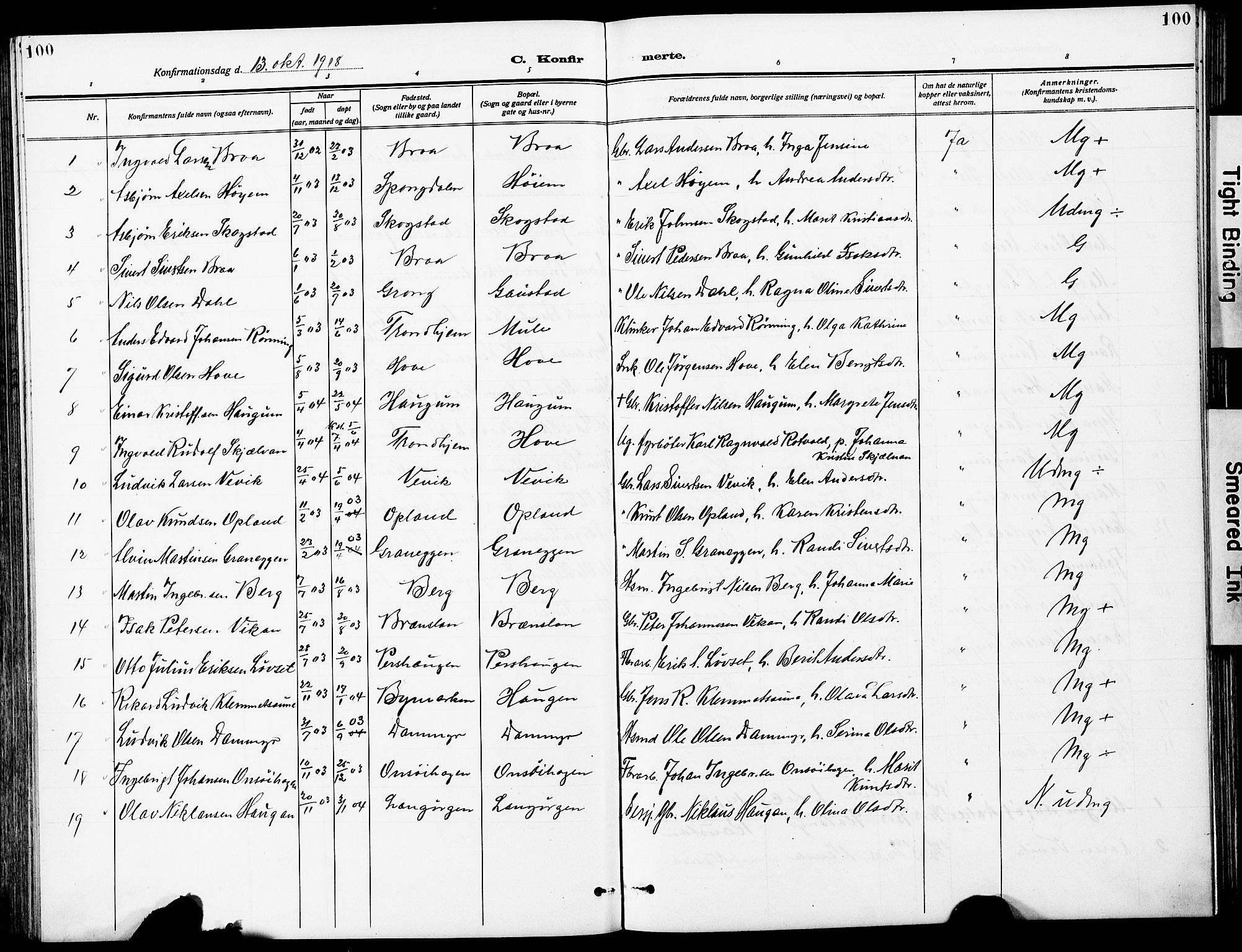 Ministerialprotokoller, klokkerbøker og fødselsregistre - Sør-Trøndelag, AV/SAT-A-1456/612/L0388: Parish register (copy) no. 612C04, 1909-1929, p. 100