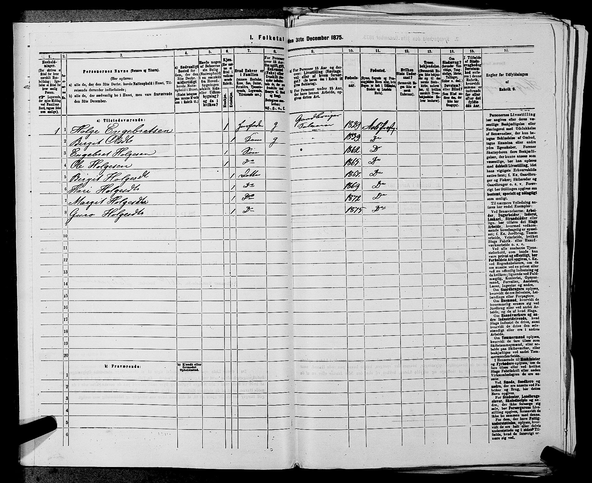 SAKO, 1875 census for 0619P Ål, 1875, p. 869