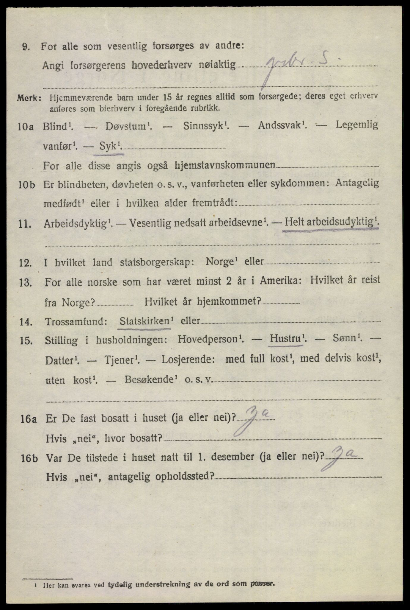 SAKO, 1920 census for Hol (Buskerud), 1920, p. 2818