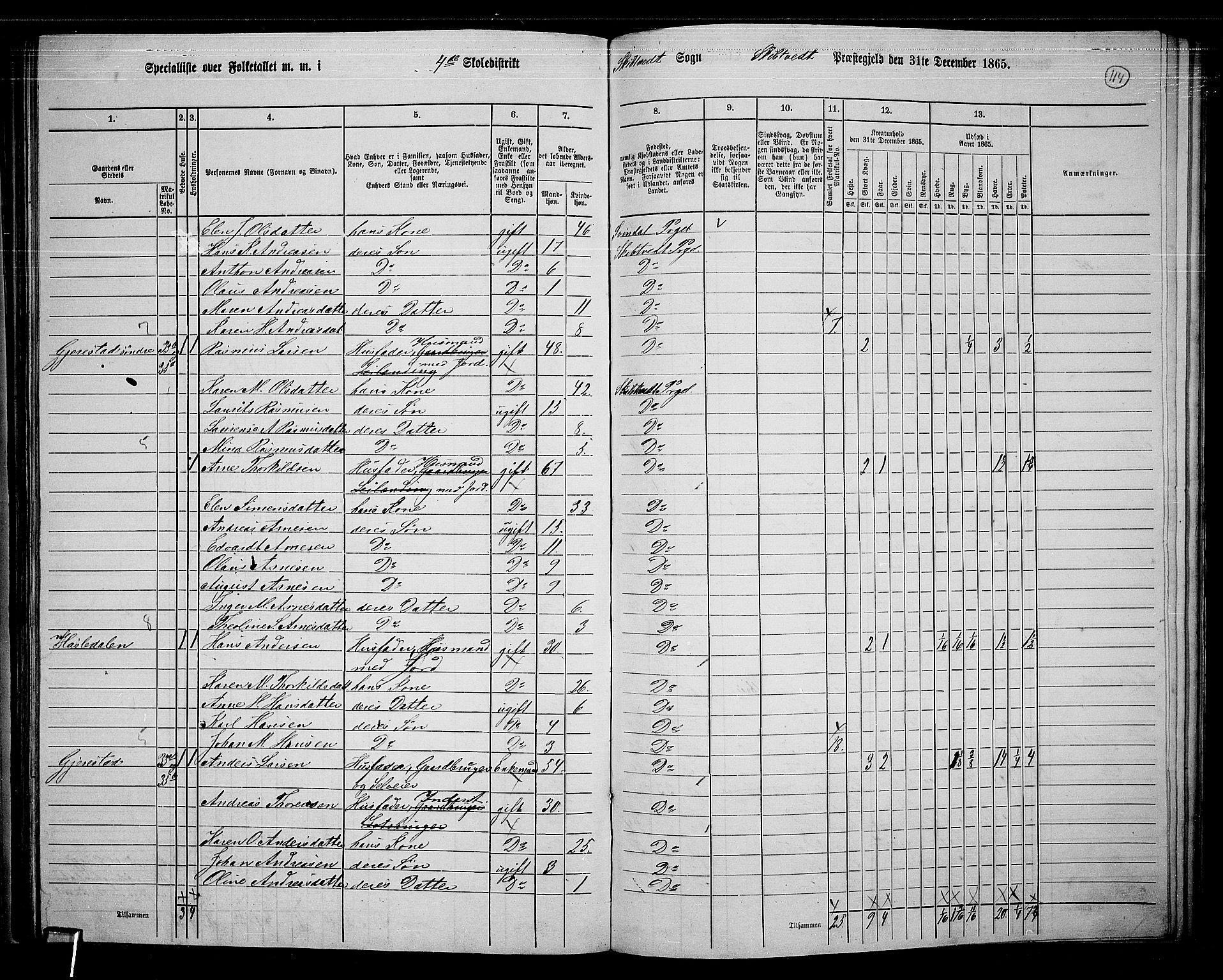 RA, 1865 census for Skiptvet, 1865, p. 104