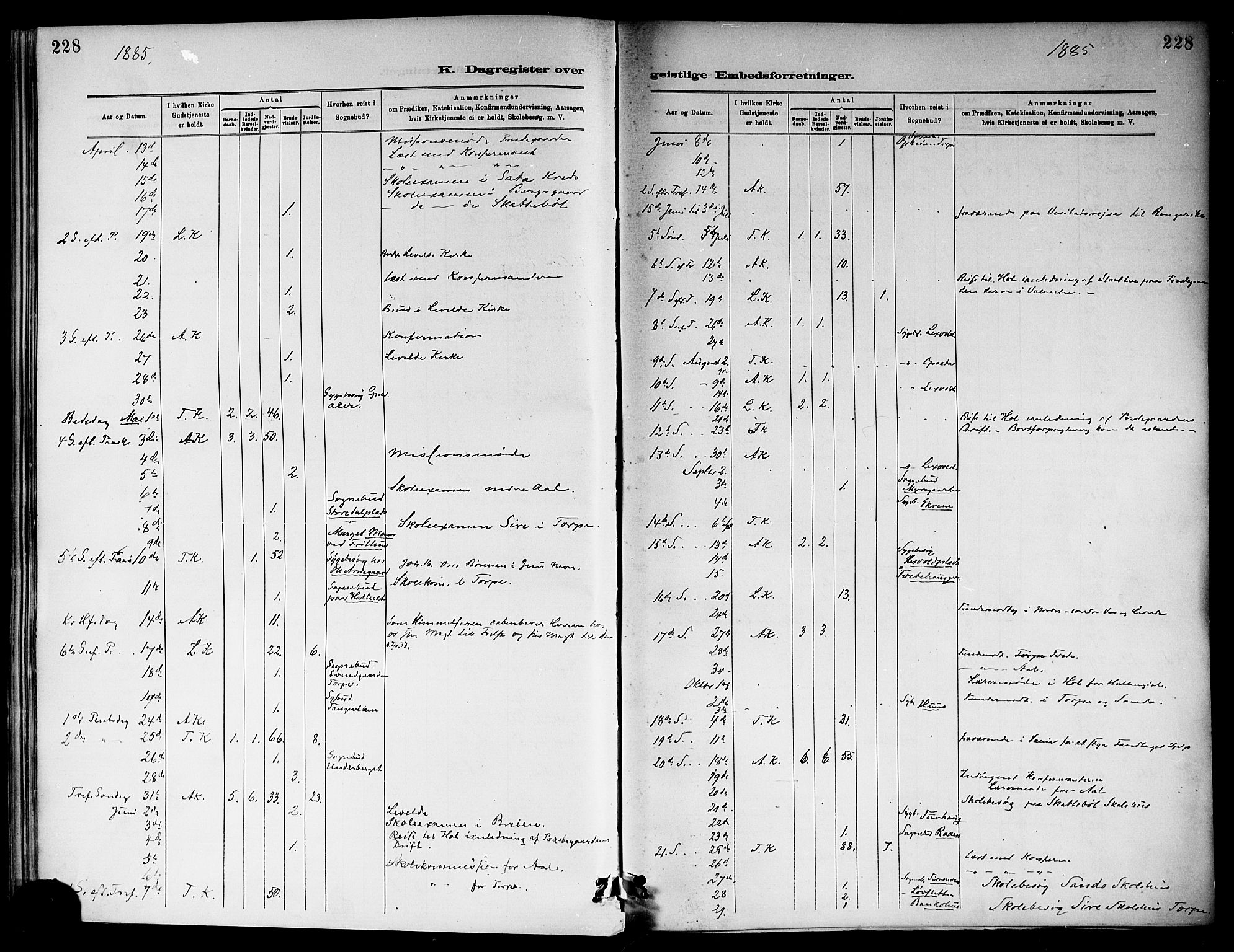 Ål kirkebøker, SAKO/A-249/F/Fa/L0008: Parish register (official) no. I 8, 1882-1896, p. 228