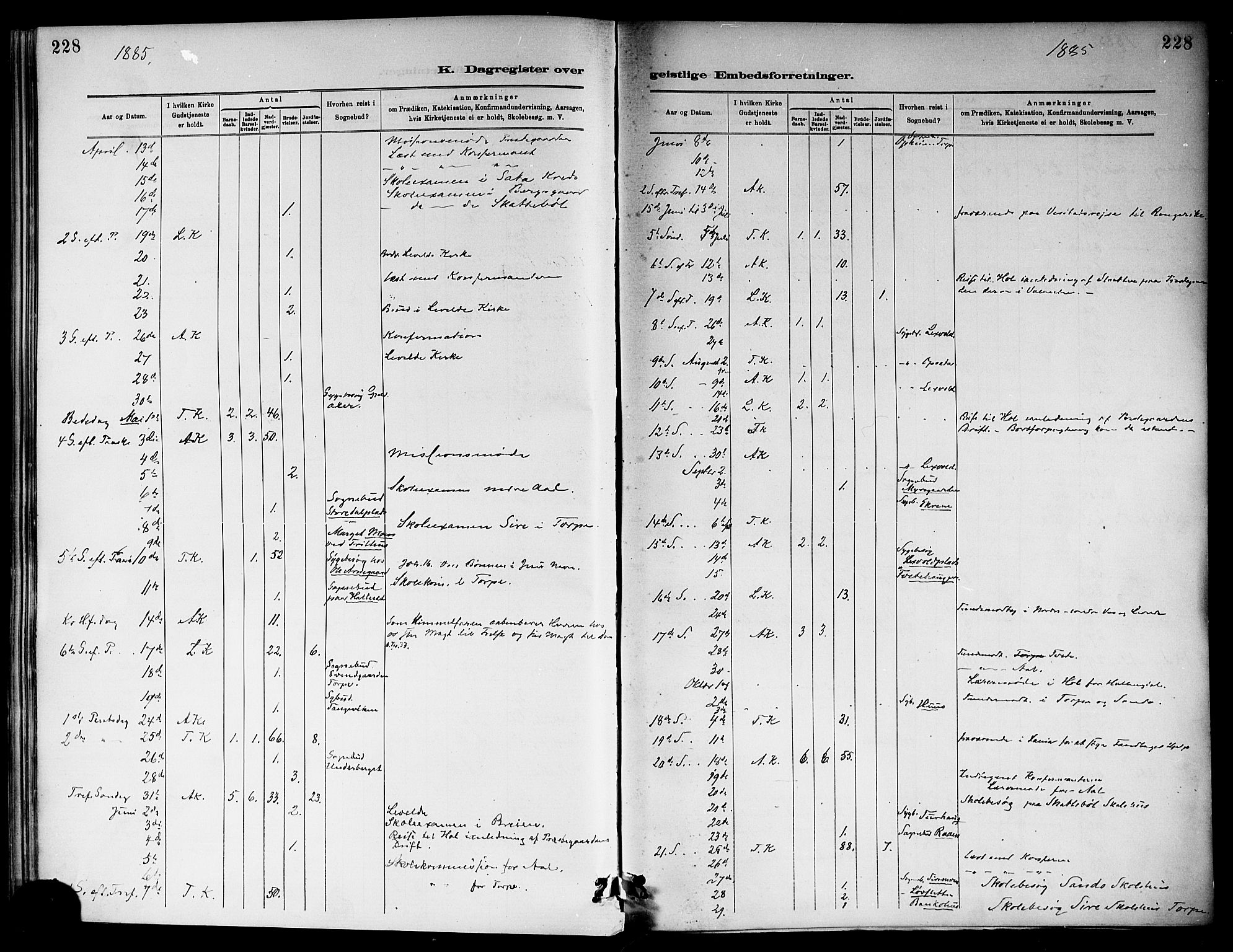 Ål kirkebøker, AV/SAKO-A-249/F/Fa/L0008: Parish register (official) no. I 8, 1882-1896, p. 228