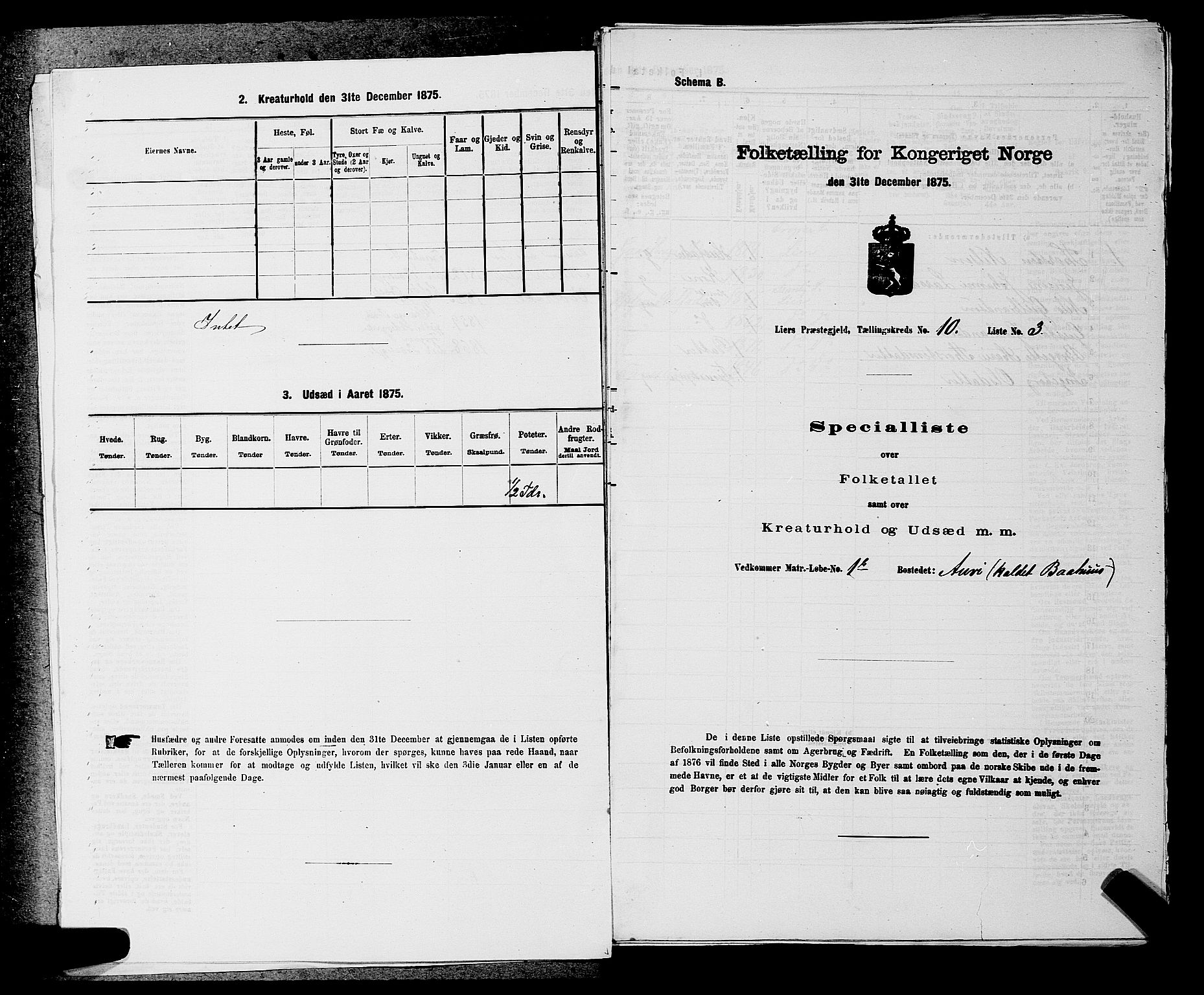 SAKO, 1875 census for 0626P Lier, 1875, p. 1613