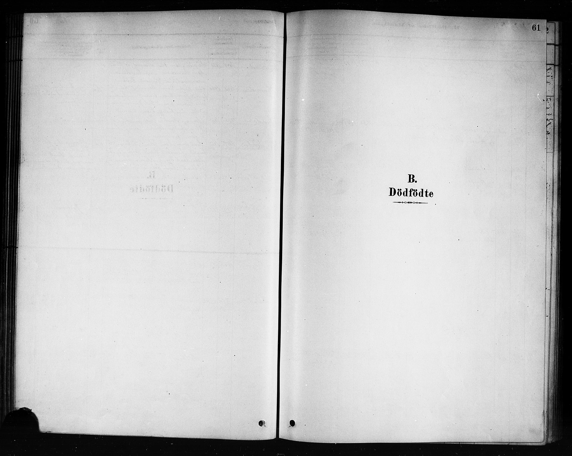 Hole kirkebøker, SAKO/A-228/F/Fb/L0001: Parish register (official) no. II 1, 1878-1891, p. 61