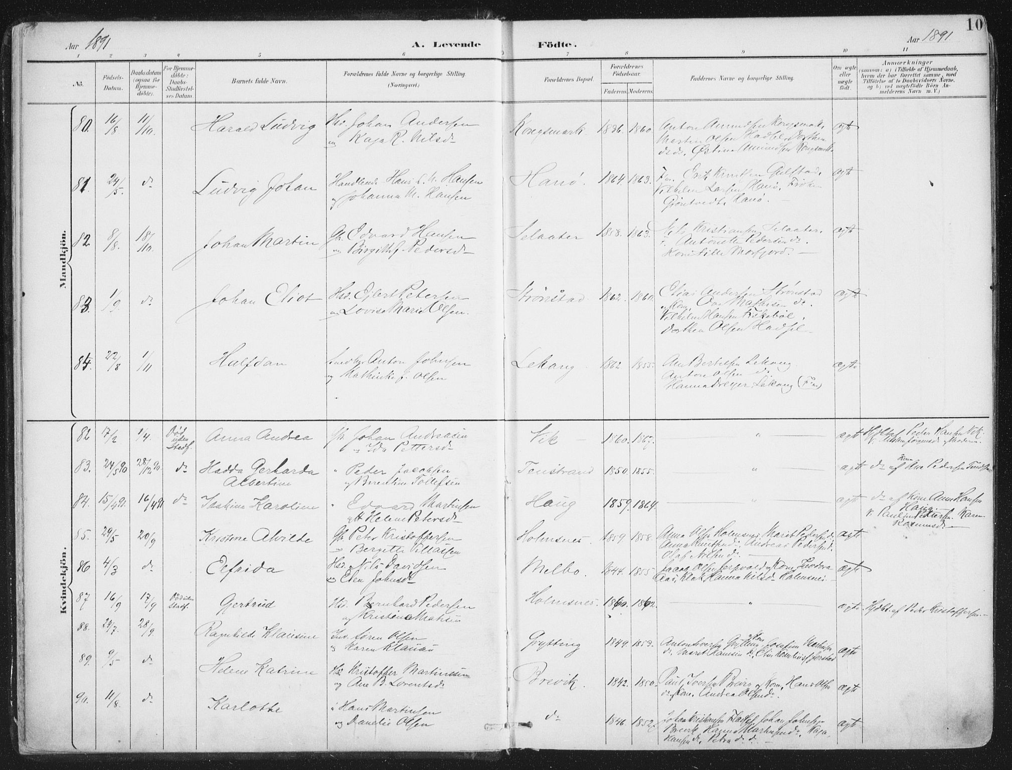 Ministerialprotokoller, klokkerbøker og fødselsregistre - Nordland, AV/SAT-A-1459/888/L1246: Parish register (official) no. 888A12, 1891-1903, p. 10