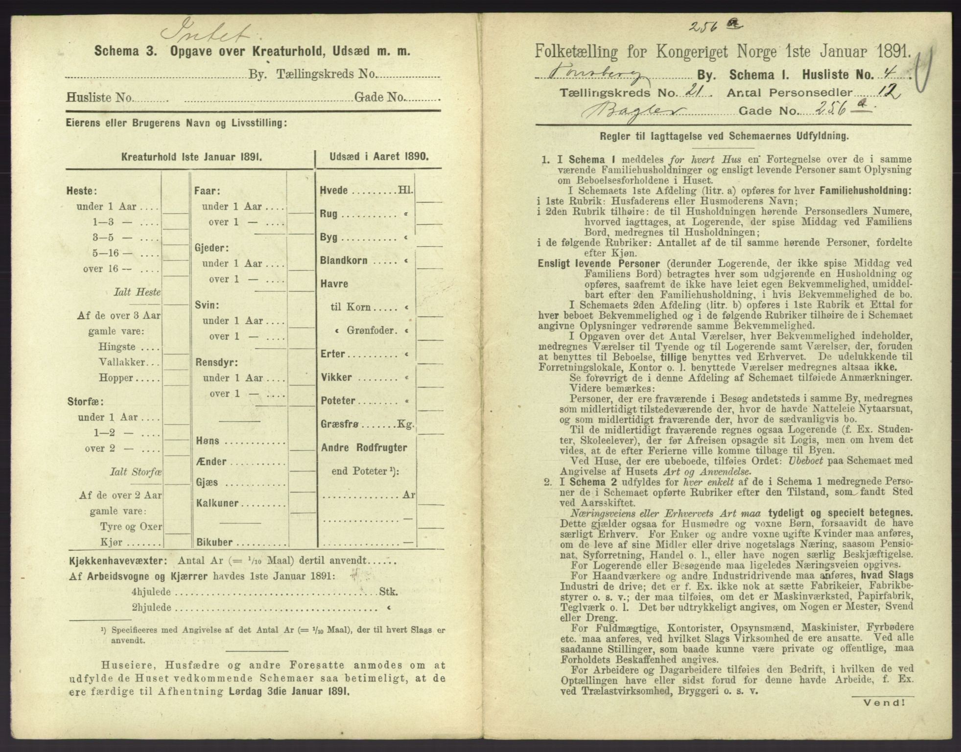 RA, 1891 census for 0705 Tønsberg, 1891, p. 712