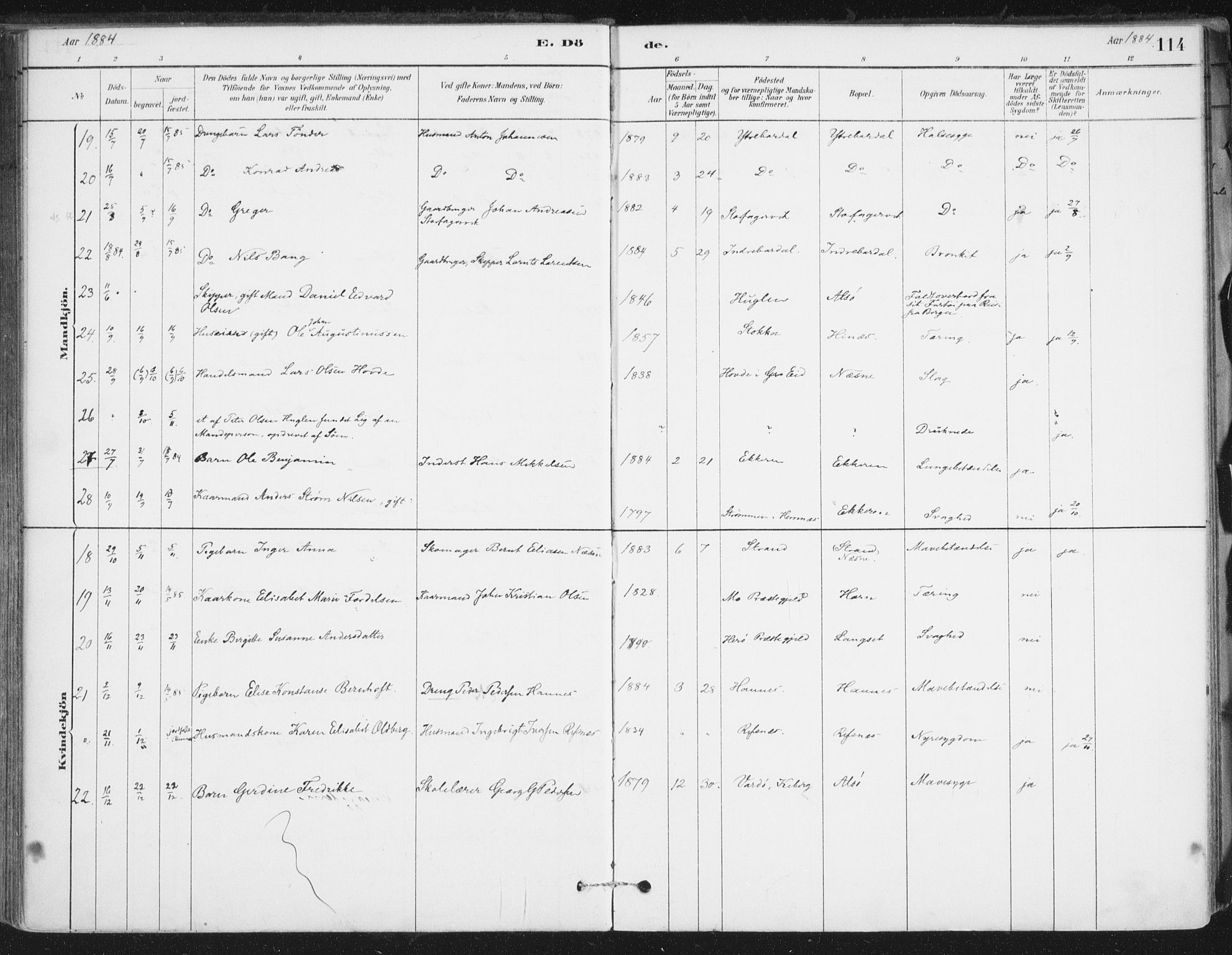 Ministerialprotokoller, klokkerbøker og fødselsregistre - Nordland, AV/SAT-A-1459/838/L0553: Parish register (official) no. 838A11, 1880-1910, p. 114