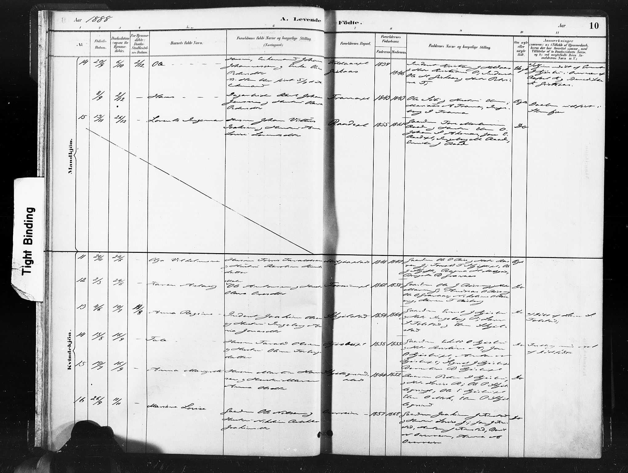 Ministerialprotokoller, klokkerbøker og fødselsregistre - Nord-Trøndelag, SAT/A-1458/736/L0361: Parish register (official) no. 736A01, 1884-1906, p. 10