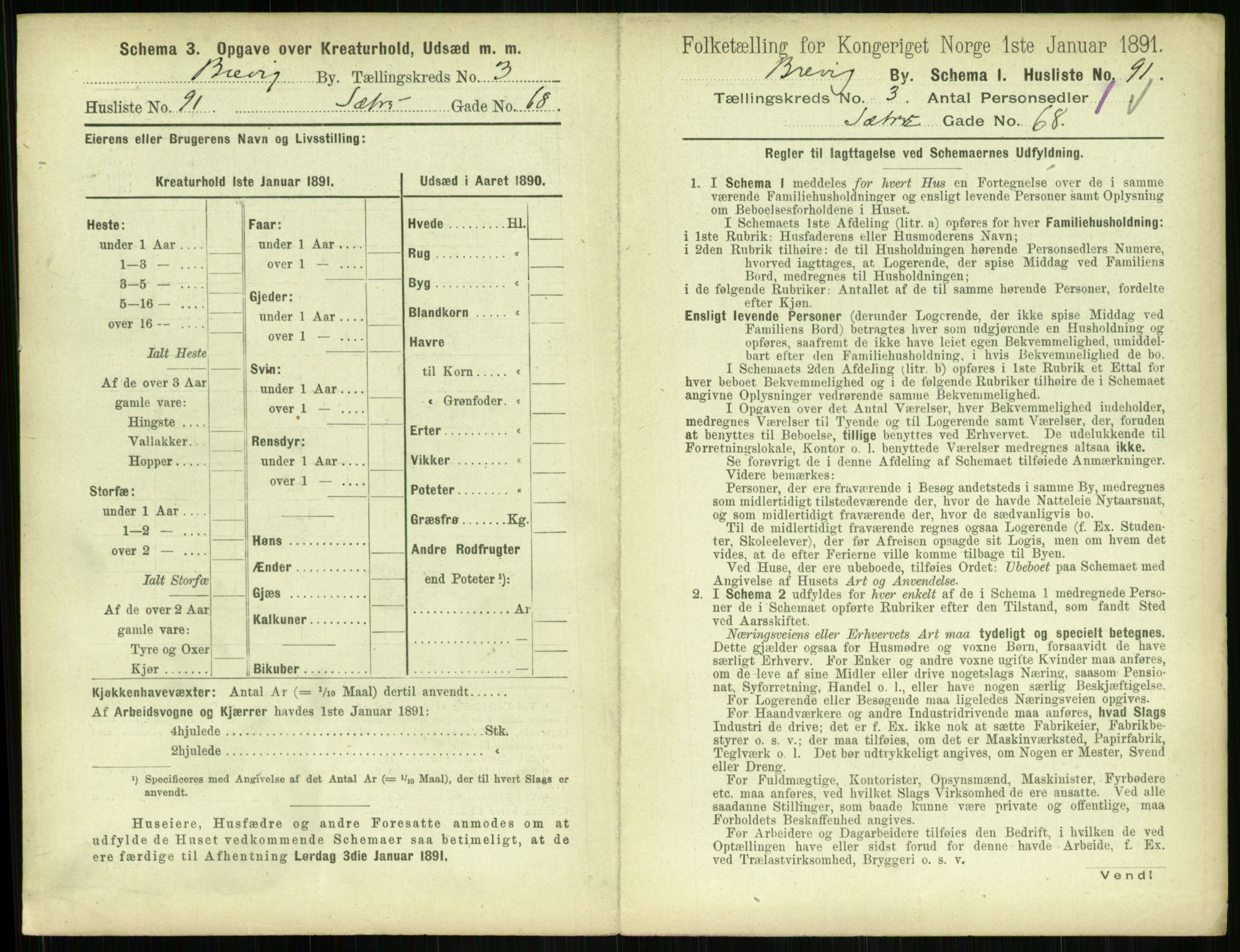 RA, 1891 census for 0804 Brevik, 1891, p. 681