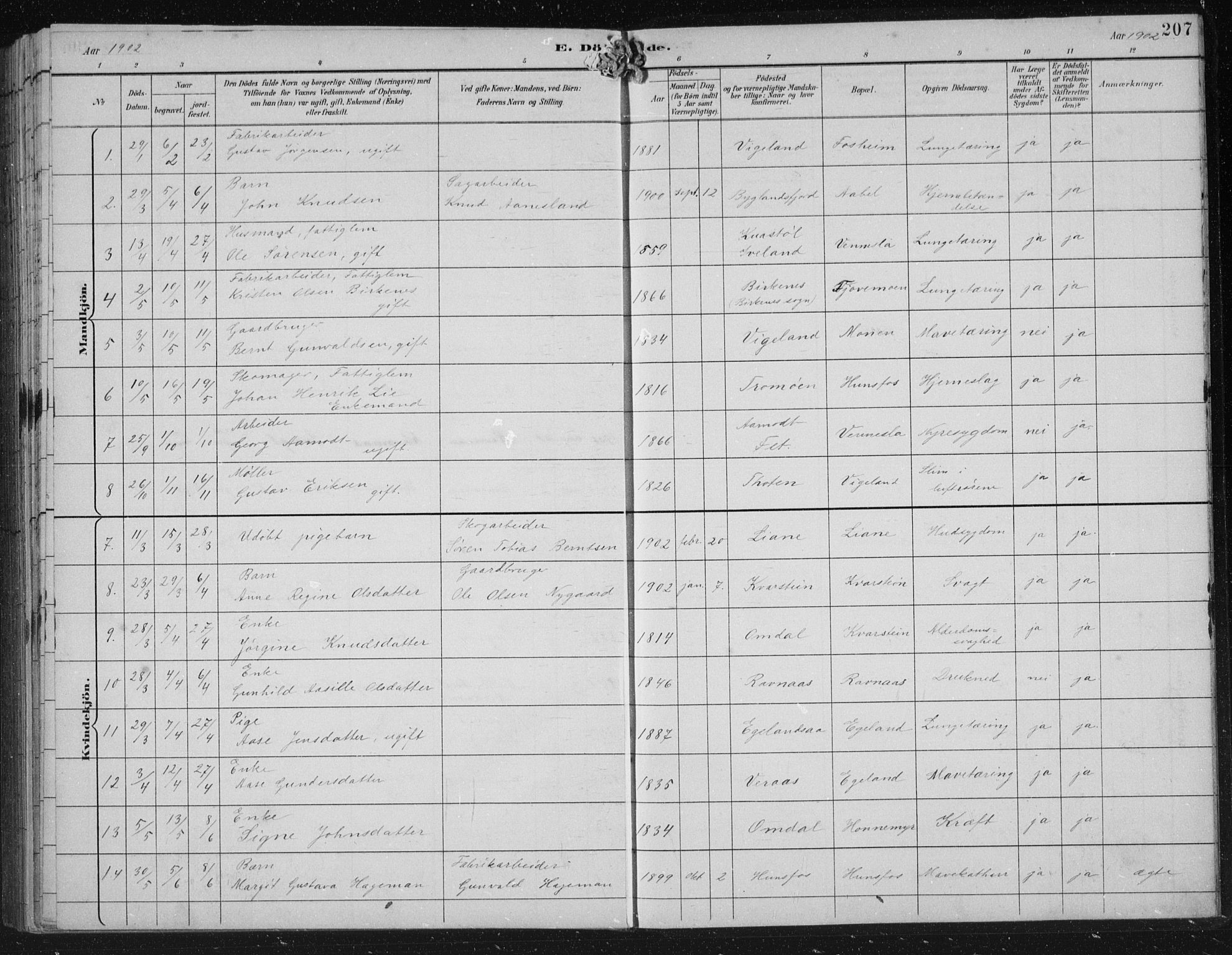 Vennesla sokneprestkontor, AV/SAK-1111-0045/Fb/Fbb/L0004: Parish register (copy) no. B 4, 1893-1902, p. 207