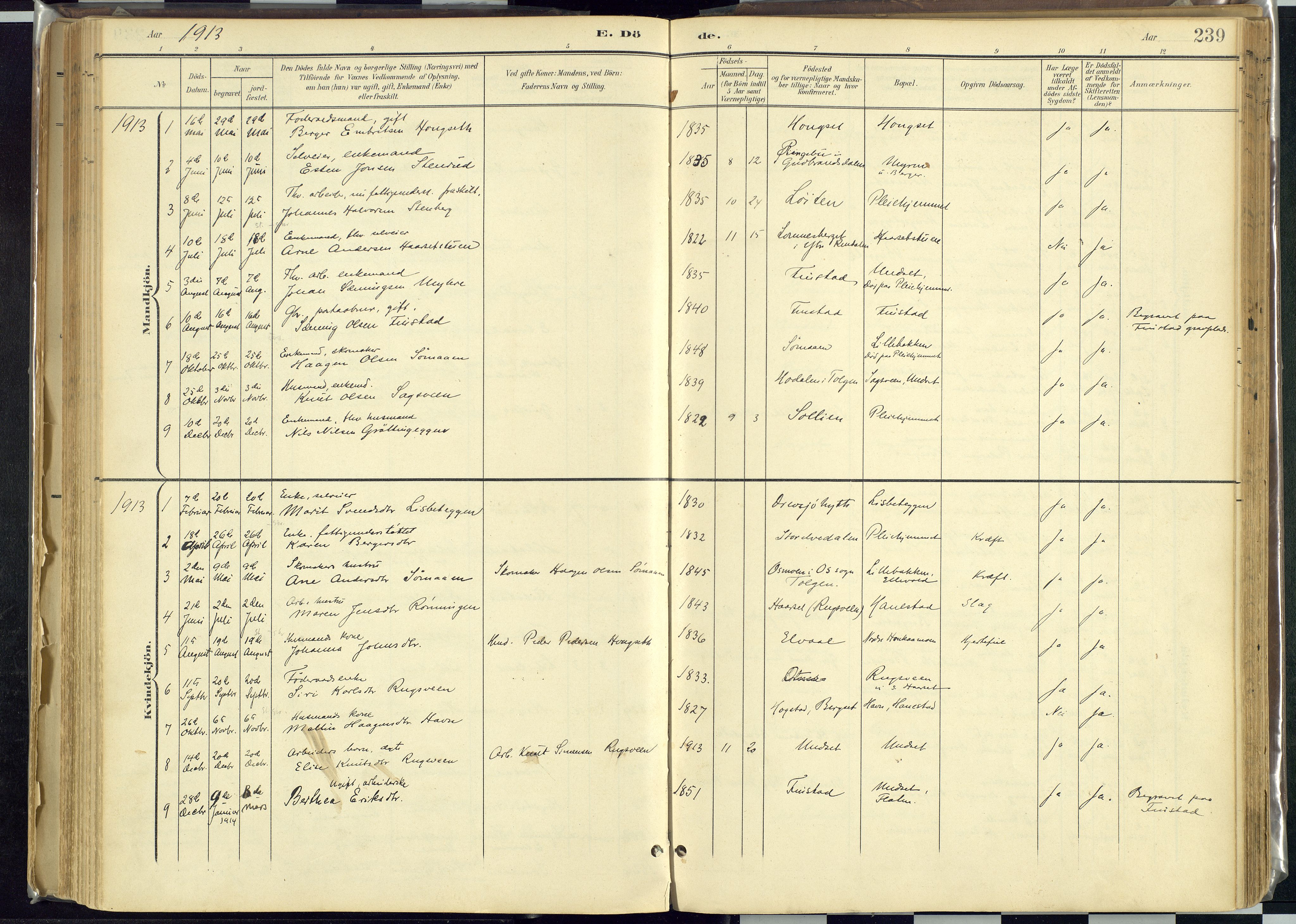 Rendalen prestekontor, SAH/PREST-054/H/Ha/Haa/L0012: Parish register (official) no. 12, 1901-1928, p. 239