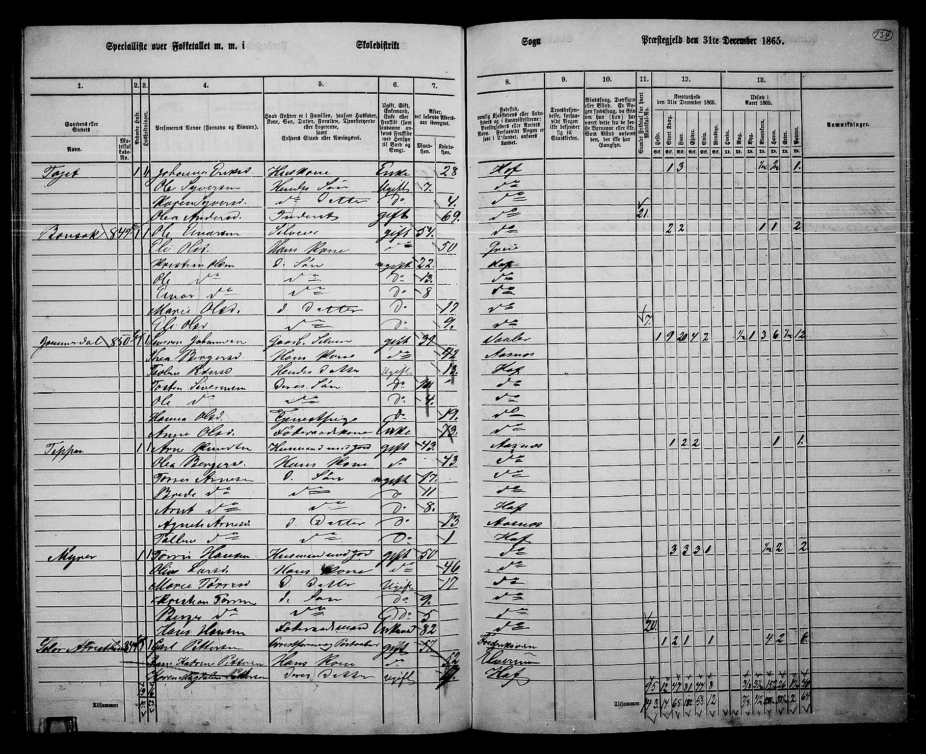 RA, 1865 census for Hof, 1865, p. 126