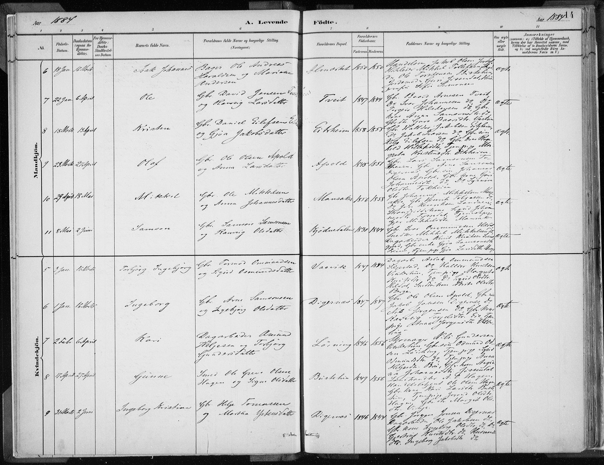 Odda Sokneprestembete, SAB/A-77201/H/Haa: Parish register (official) no. A  3, 1882-1913, p. 14