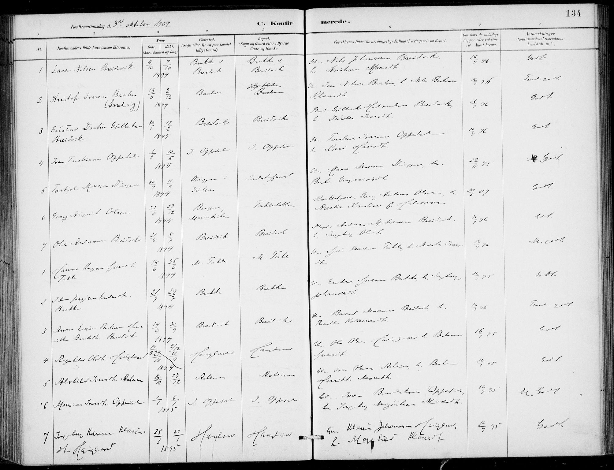Gulen sokneprestembete, SAB/A-80201/H/Haa/Haac/L0002: Parish register (official) no. C  2, 1882-1914, p. 134