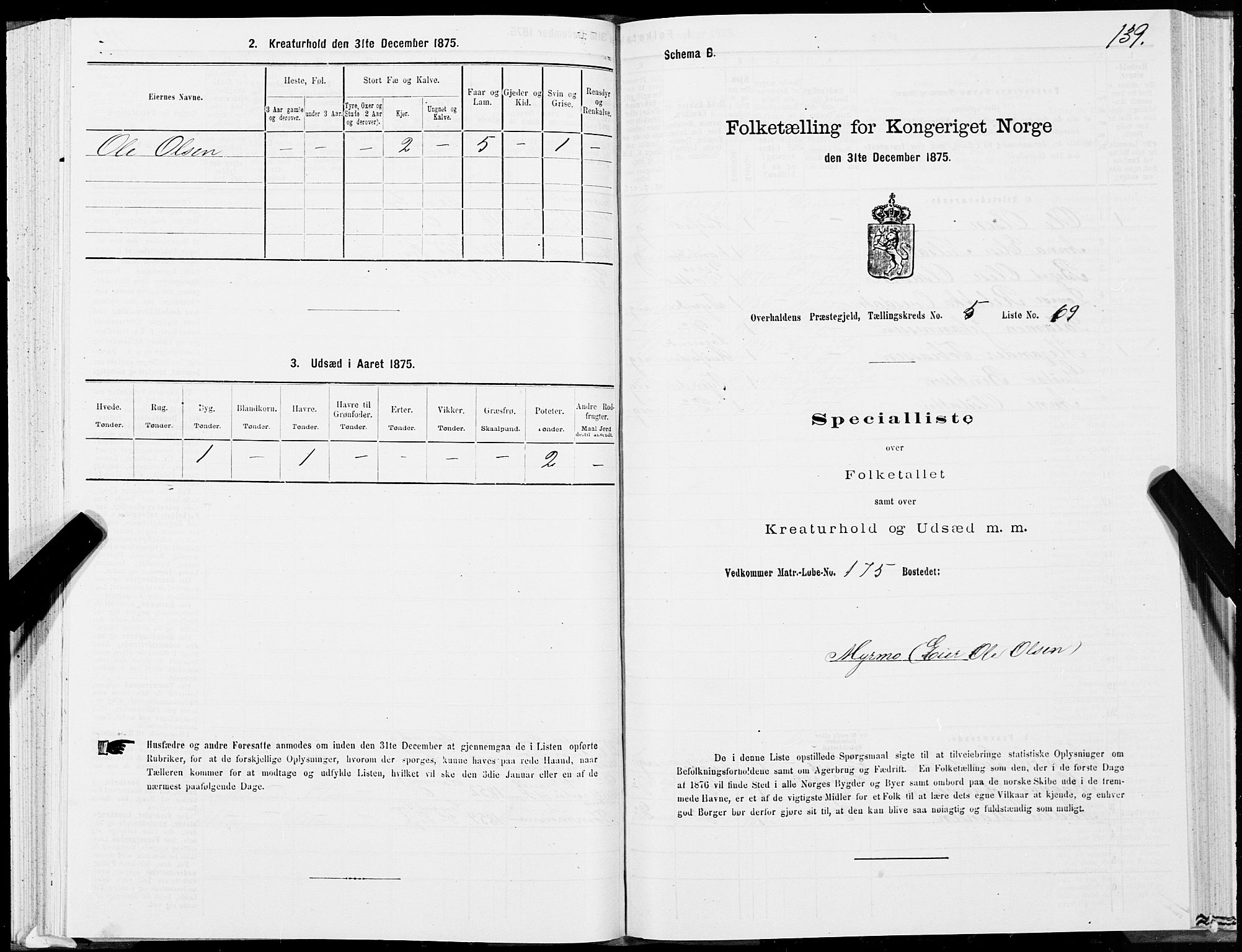 SAT, 1875 census for 1744P Overhalla, 1875, p. 3139