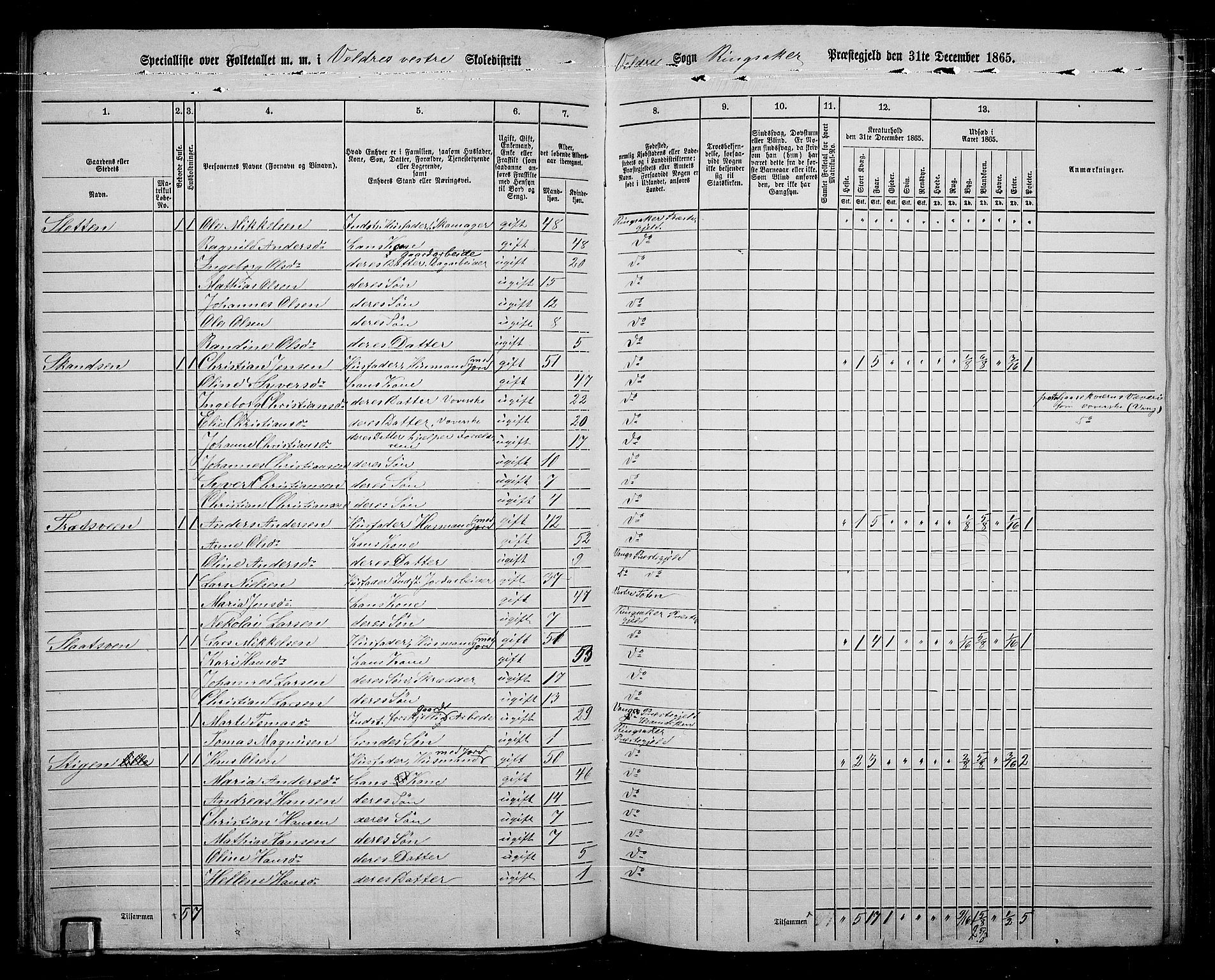 RA, 1865 census for Ringsaker, 1865, p. 159