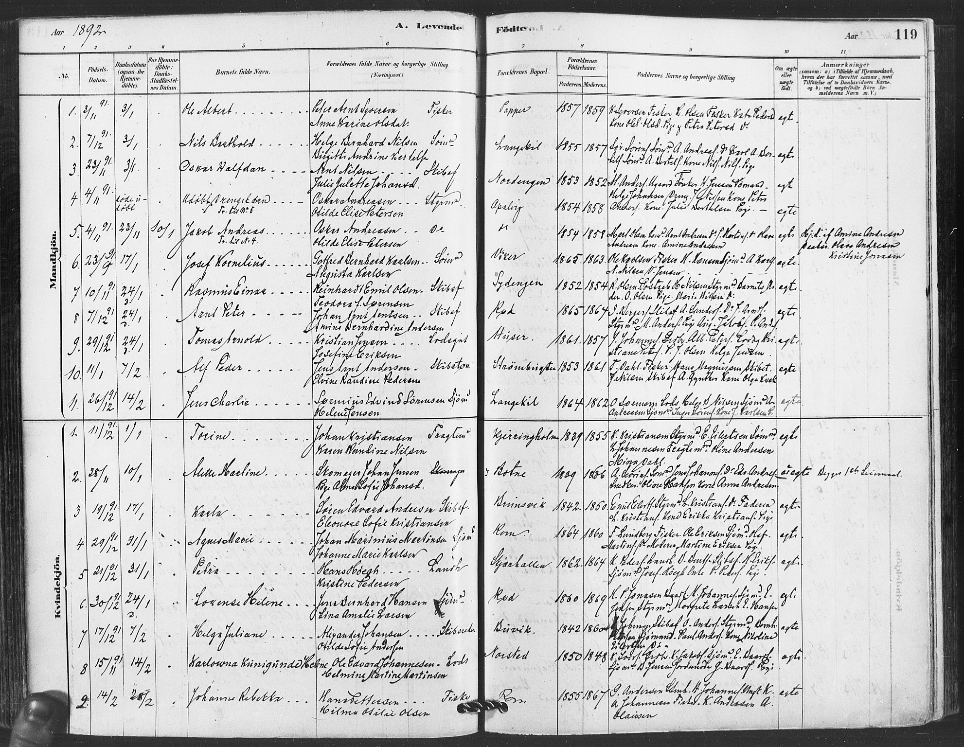 Hvaler prestekontor Kirkebøker, SAO/A-2001/F/Fa/L0008: Parish register (official) no. I 8, 1878-1895, p. 119