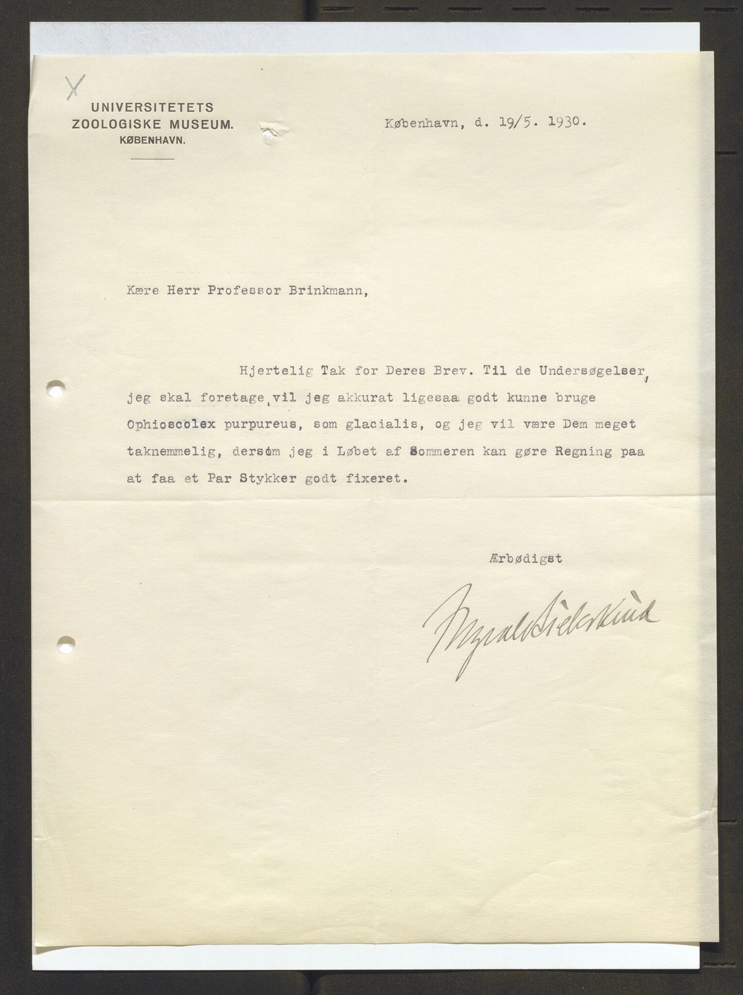 Bergens Museum, AV/SAB-A-17301/13/D/L0002: Korrespondanse , 1928-1940, p. 141