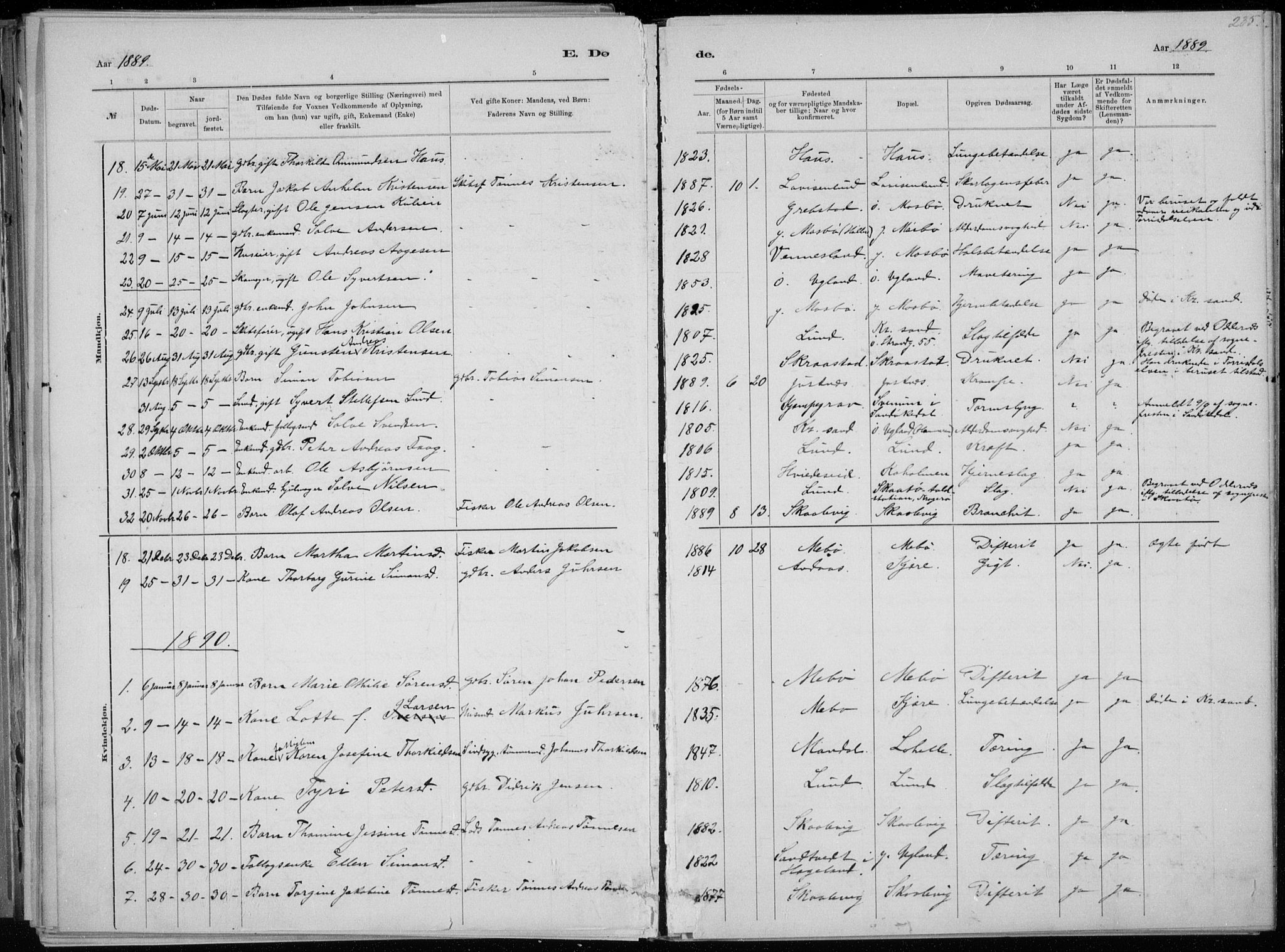 Oddernes sokneprestkontor, AV/SAK-1111-0033/F/Fa/Faa/L0009: Parish register (official) no. A 9, 1884-1896, p. 235