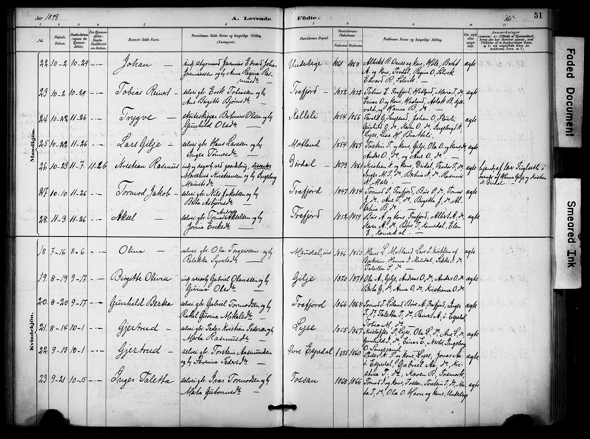 Høgsfjord sokneprestkontor, AV/SAST-A-101624/H/Ha/Haa/L0006: Parish register (official) no. A 6, 1885-1897, p. 51