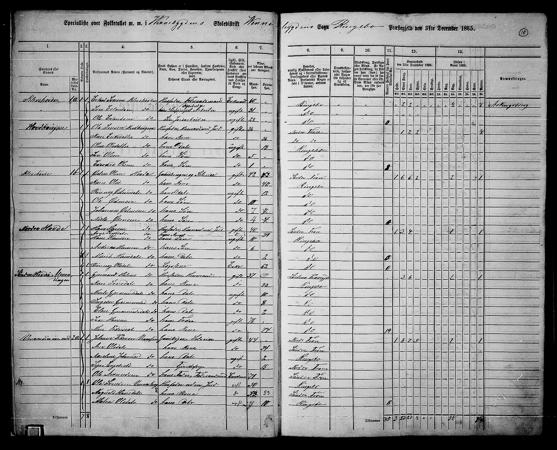 RA, 1865 census for Ringebu, 1865, p. 13