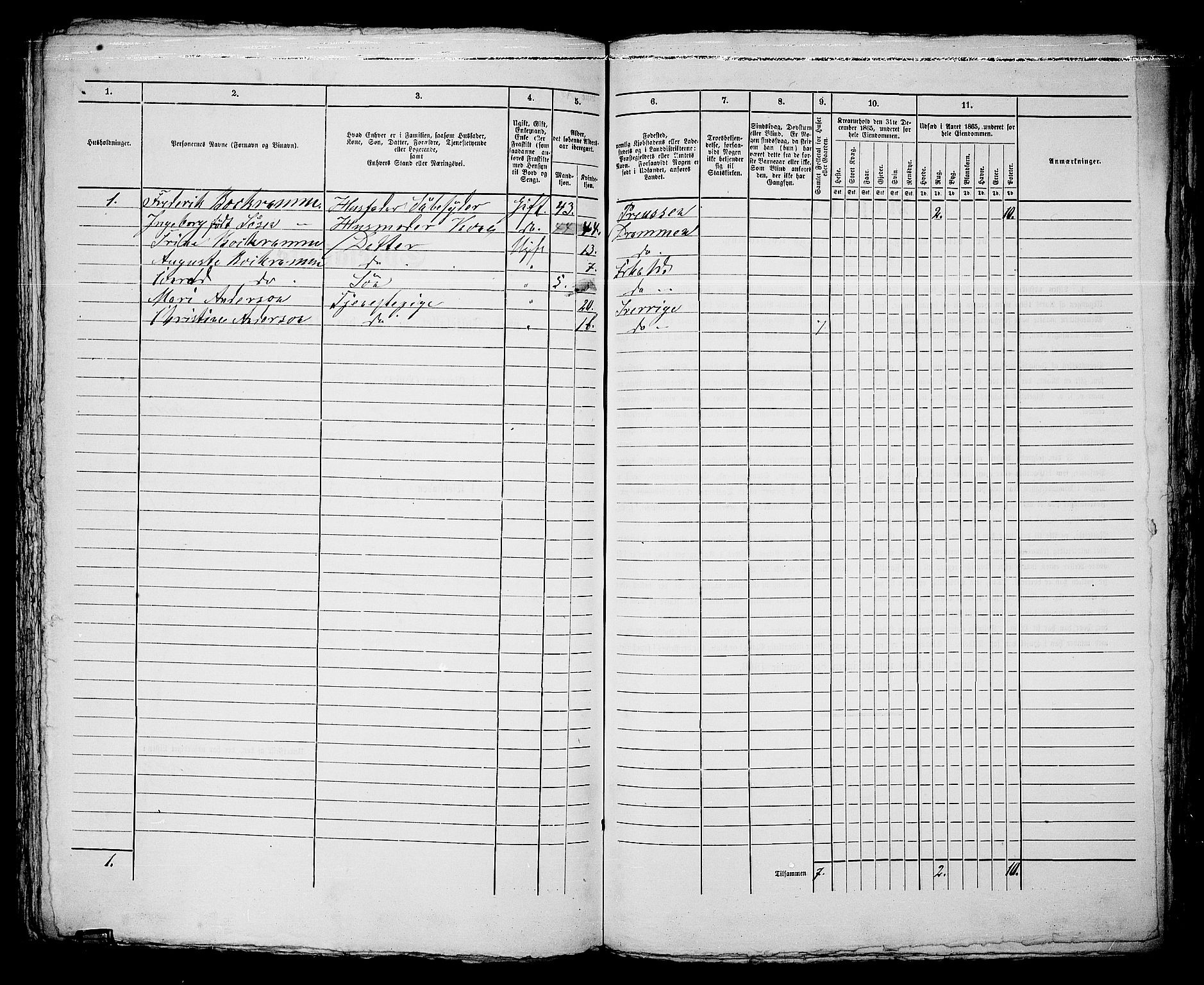 RA, 1865 census for Fredrikshald, 1865, p. 602